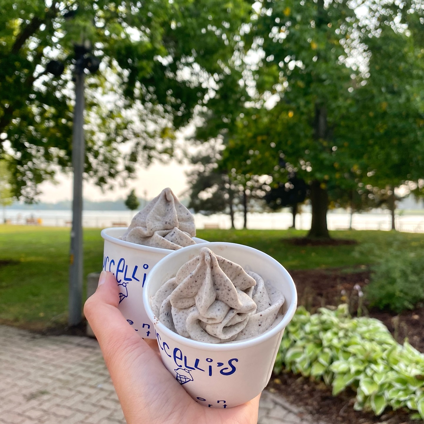 Looking for weekend plans? Amherstburg has you covered: 🎶 Latin Festival in the downtown core + 🎨 Art by the River at Fort Malden. Catch us at Art by the River with our trailer! Come explore over 170 talented artists, enjoy live music, kids’ fun zone, etc.. We’ll see you there😁
@visitamherstburg
@artbytheriver
#FrozenYogurtLove #essexcountyeats #PureJoy #Nuccellis #IceCream #FrozenYogurt #Froyo #YQG #YQGBusiness #YQGFood #Amherstburg #Windsor #Lasalle #Kingsville #Harrow #Essex #explorepage #WindsorEats #Yummy #Dessert #Shoplocal #SupportLocal #YQGStandStrong #TakeOut #ontarioeats #OntSouthwest #DiscoverOntario