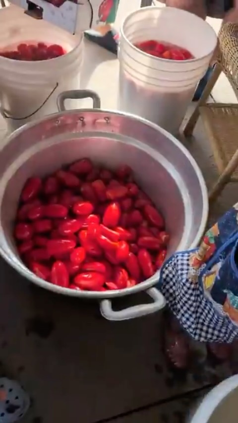 Pomodori sessions🍅🍅🍅