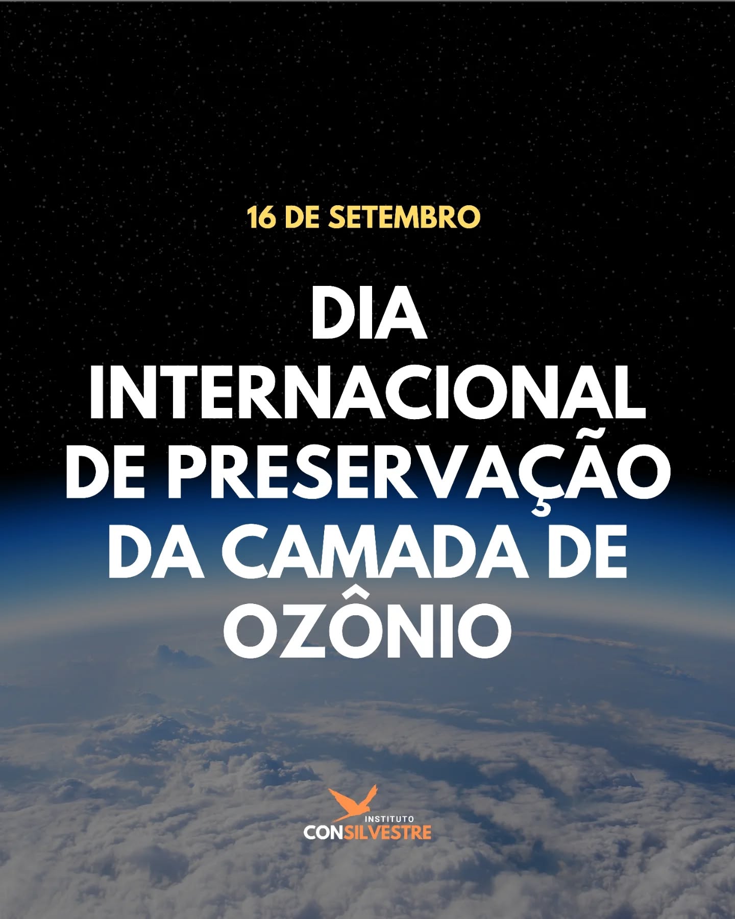 ☀️ A camada de ozônio é nosso escudo natural contra os raios ultravioleta, essencial para a vida na Terra. Apesar dos avanços conquistados, ainda emitimos muitos gases que afetam e agravam o efeito estufa — vindos da agropecuária, das indústrias e do crescente número de automóveis.
💡 Proteger a camada de ozônio e o clima depende de ações individuais e coletivas como optar pelo transporte público, bicicleta ou carona solidária, reduzir o consumo de carne e produtos de origem animal, exigir políticas públicas mais rigorosas para controlar as emissões.
💚 Nossa saúde, a biodiversidade e o equilíbrio do planeta dependem disso.
#CamadaDeOzônio #PreservarÉViver #Clima #conservação #meioambiente #biodiversidade #natureza #animaissilvestres #faunasilvestre #organizaçãonãogovernamental #ong #camposdosgoytacazes #riodejaneiro #rj #pesquisa #educação #pesquisacientifica #educaçãoambiental #mataatlantica #consilvestre #institutoconsilvestre