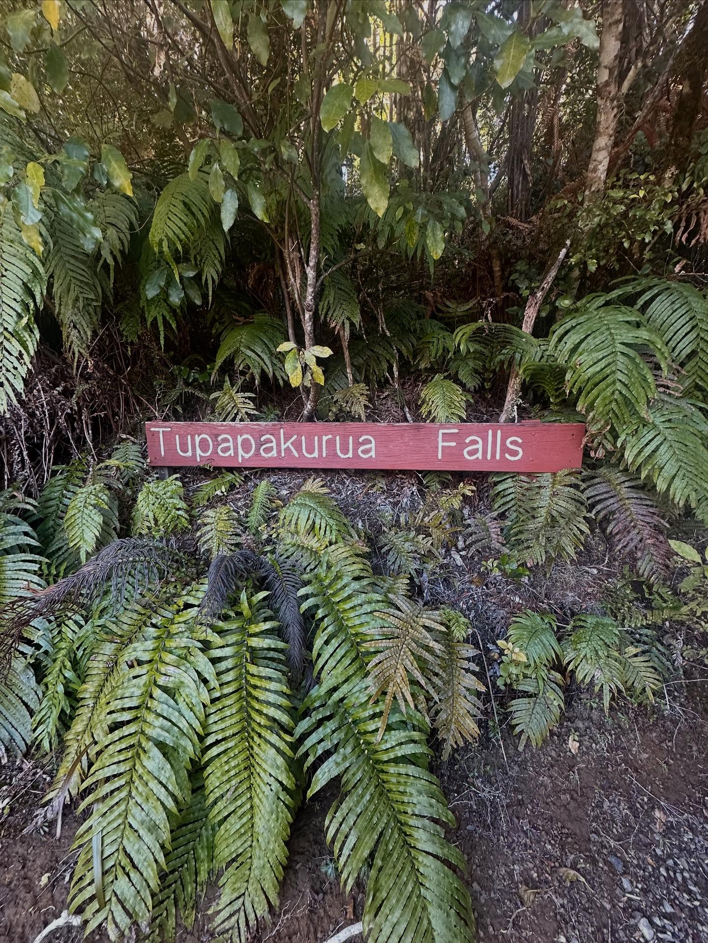 A fantastic walk right by Adventure Lodge!
A 2 hour return trip will reward you with views of Taranaki and lush bush tracks 🌳
You may even see a Kiwi!🥝
👉https://www.adventurelodge.co.nz
