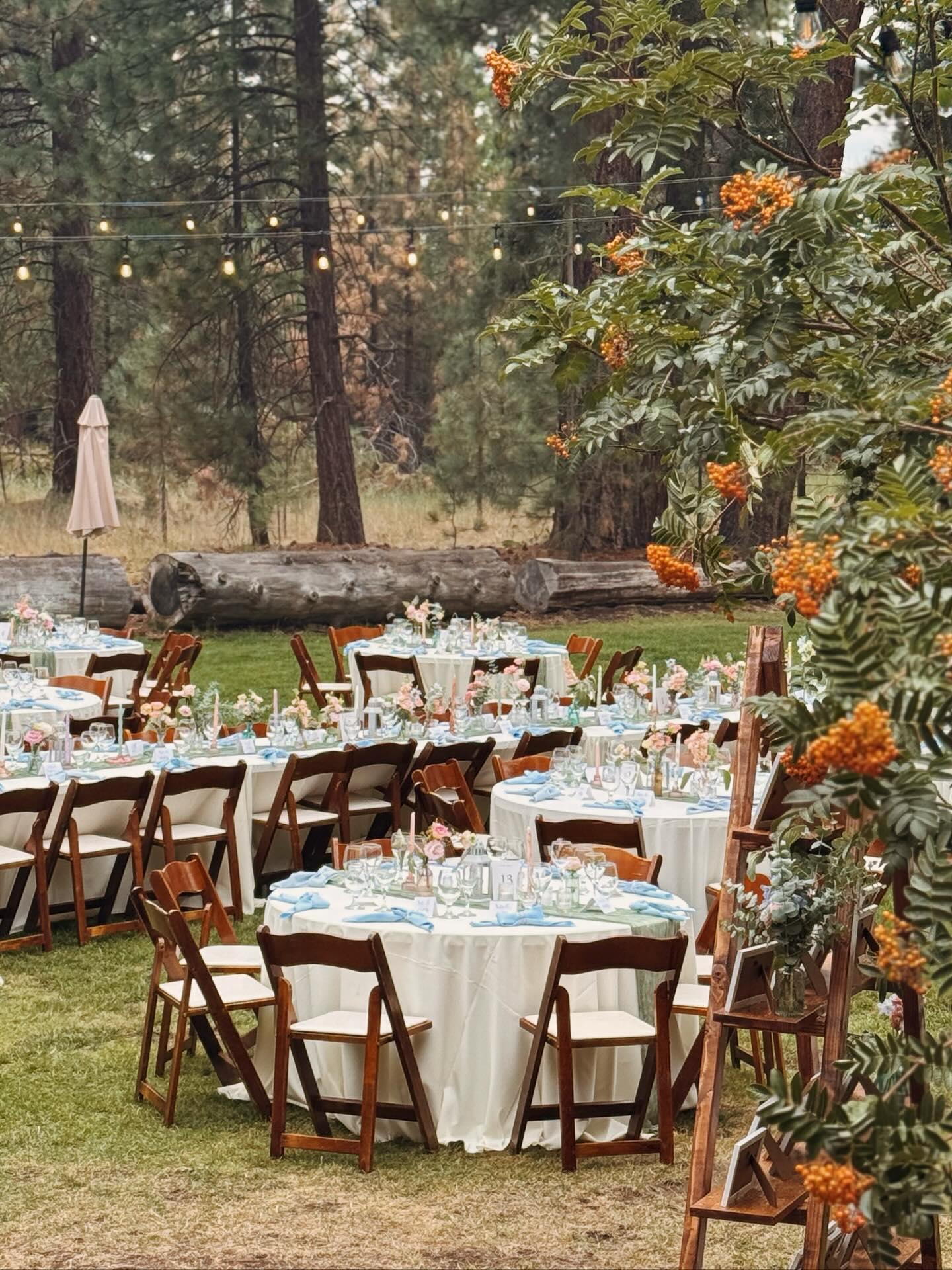 Turns out gloomy vibes makes for the most romantic lighting!!
π§‘
π§‘
Venue: @valhallatahoe
Coordinator: @eventplanningbyannie
Catering, Rentals & Bar: @thehiddentable
Photographer: @mckenzielynn_photography
Videographer: @alleyroseco
DJ: @mcclainsmobiledj
Florals: @gardenvalleyflowerfarm
Hair & Makeup: @coppersalonandspa