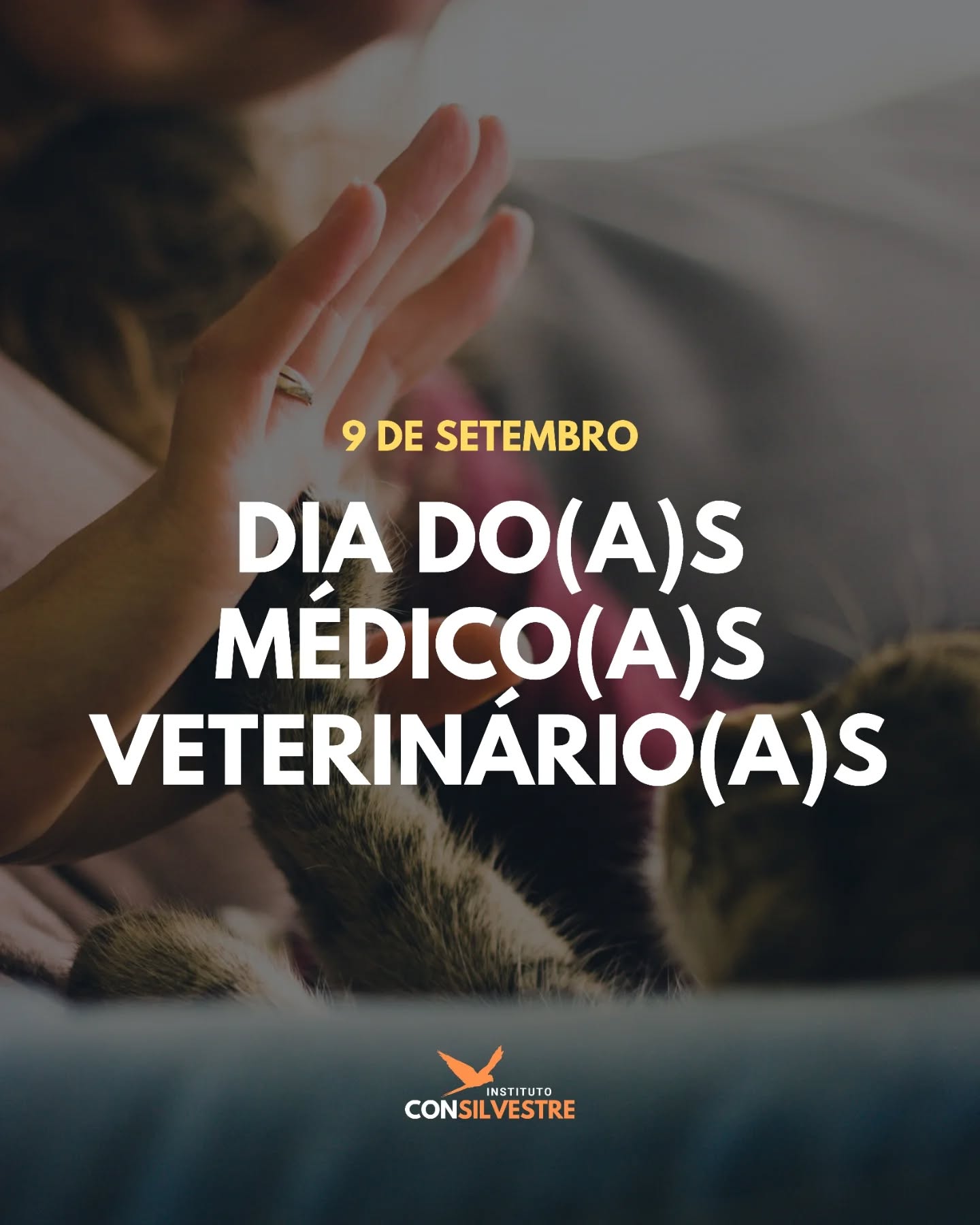🐾 Mais que cuidadores de cães e gatos, médicos veterinários atuam na Saúde Única, protegendo a saúde animal, humana e ambiental. Na conservação da fauna silvestre, estão na linha de frente em resgates, reabilitação e manejo, garantindo a sobrevivência de espécies ameaçadas.
💚 Seu trabalho é vital para um mundo mais saudável e equilibrado.
#DiaDoMédicoVeterinário #SaúdeÚnica #MedicinaVeterinária #ciência #conservação #meioambiente #biodiversidade #natureza #animaissilvestres #faunasilvestre #organizaçãonãogovernamental #ong #camposdosgoytacazes #riodejaneiro #rj #pesquisa #educação #pesquisacientifica #educaçãoambiental #mataatlantica #consilvestre #institutoconsilvestre