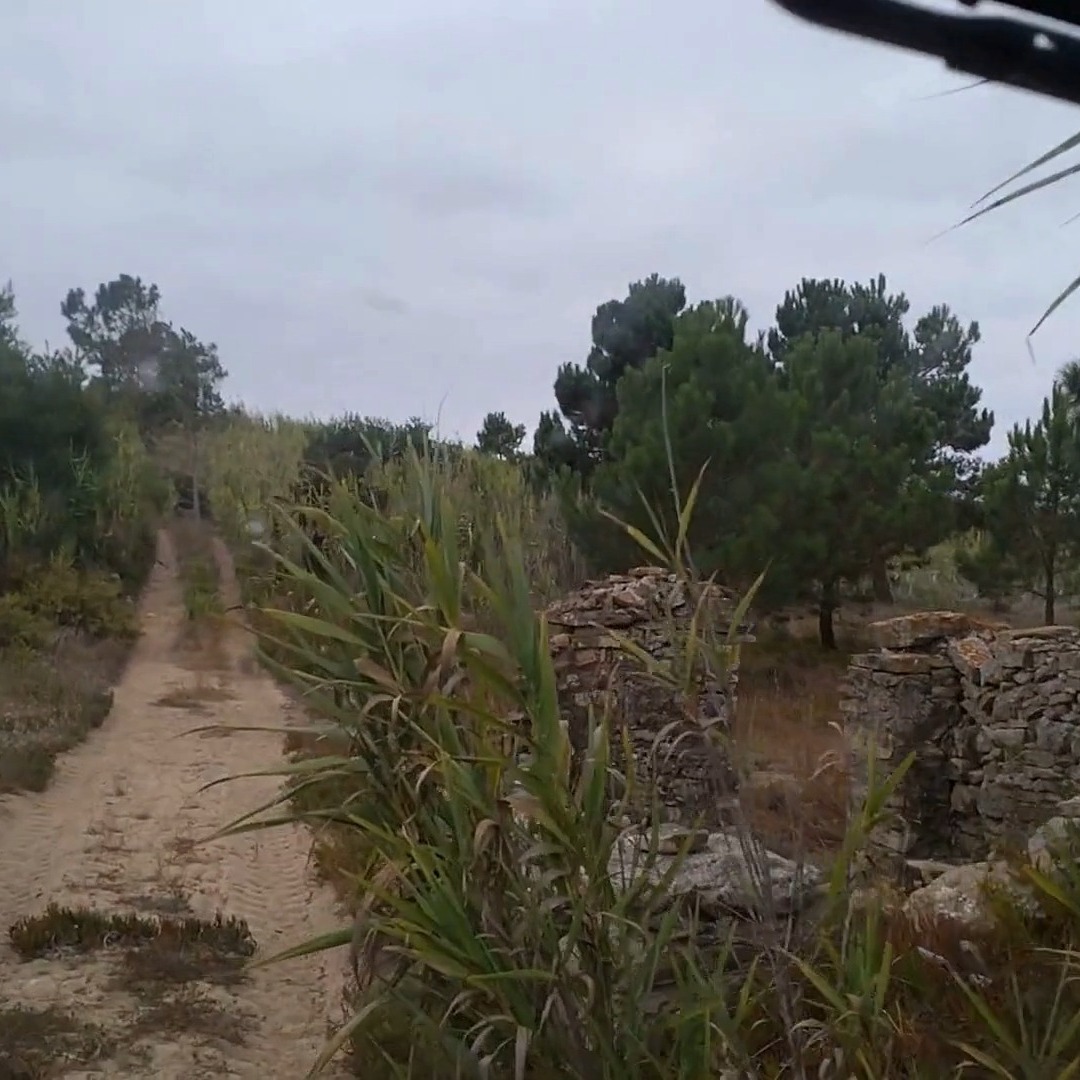 🌾🍇🍏🏞️🚙🌊✨ À procura de novos horizontes, entre vinhas e macieiras em solos arenosos.
🌾🍇🍏🏞️🚙🌊✨ In search of new horizons, among vineyards and apple trees on sandy soils.
#WesternmostRoute #SintraCascais #NatureTravel #OffRoadAdventures #VineyardsAndAppleTrees #SandySoils #ExplorePortugal #NatureLovers #TravelByJeep #HiddenGemsPortugal #OutdoorAdventure #WanderlustPortugal #CountrysideViews #EcoTourism #PortugueseNature #ScenicRoutes #AdventureAwaits #DiscoverPortugal #RuralExploration #WesternmostTrails