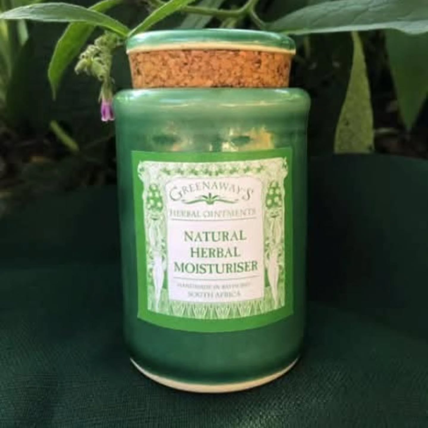 We’re excited to welcome Greenaway’s Herbal Ointments to this year’s Bathurst Country Affair at Settlers Square! Known for their handcrafted herbal remedies, Greenaway’s offers a range of soothing ointments and natural products made from time-honoured recipes that have supported families for generations. 🌱✨
Whether you’re looking for gentle skincare, herbal healing, or a touch of natural wellness, their stall is a must-visit.
📍 Find them at Settlers Square Market
🌐 See who else will be trading: www.thebca.co.za
#BCA2025 #BathurstCountryAffair #GreenawaysHerbalOintments #BathurstMarkets