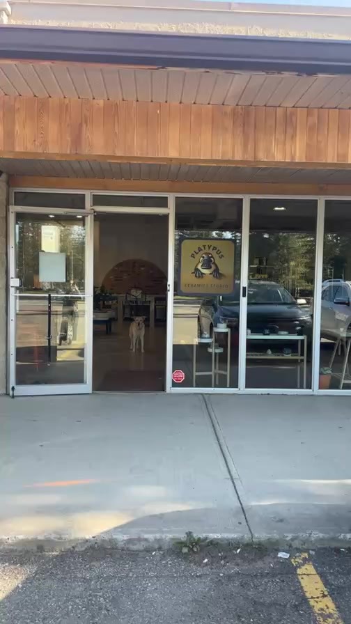 What is happening in the studio!