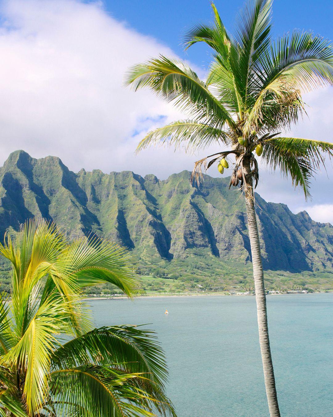 Hawaii isn’t just one destination. It’s five distinct worlds, each with its own magic.
🌋 Active volcanoes and starry skies? Big Island.
🏖️ Humpback whales and golden beaches? Maui.
🌴 Emerald cliffs and secret coves? Kauai.
🏄 Chic surf towns and a buzzing food scene? Oahu.
🌺 Quiet luxury and off-the-grid serenity? Lāna‘i.
We’ll help you find the island that fits your style, and arrange luxury accommodations, private guides, and exclusive perks you won’t get booking alone.
Let us know your dream Hawaiian escape and we’ll take care of every detail for you.
.
.
.
.
.
#alpenglowtravel#HawaiiTravel #LuxuryEscape #LuxuryTravelAdvisor #IslandLife #TropicalRetreat #VIPTravel