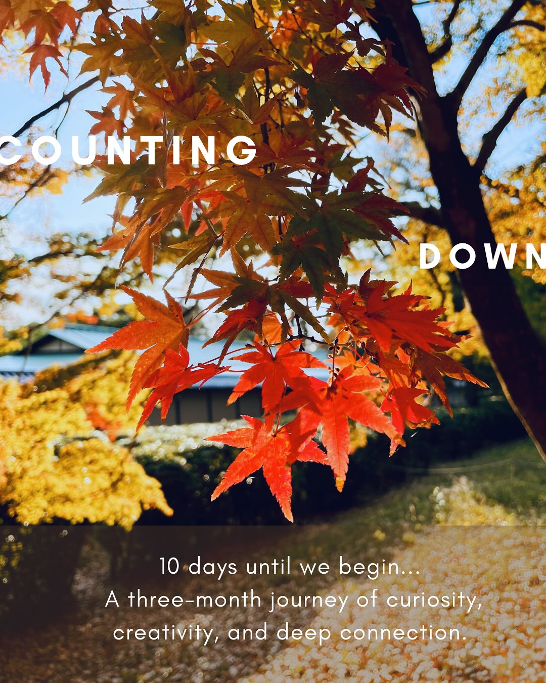 Time moves quickly, summer is slowly shifting into autumn, and in just 10 days we’ll kick off The Art of What If, a three-month online journey into curiosity, creative exploration, and meaningful connection!
If your heart has been whispering to join, this is a gentle reminder: registration closes on 2nd September.
We’d love to have you with us. 🌿✨
Registration via the link in bio.
#innerdevelopmentgoals #personaldevelopment #coaching #wellbeing #flourishing #art #creativity #nature #aesthetics #mentalhealth #awareness #change #empowerment #growth #sustainability #holisticliving #onlineworkshop #expressions