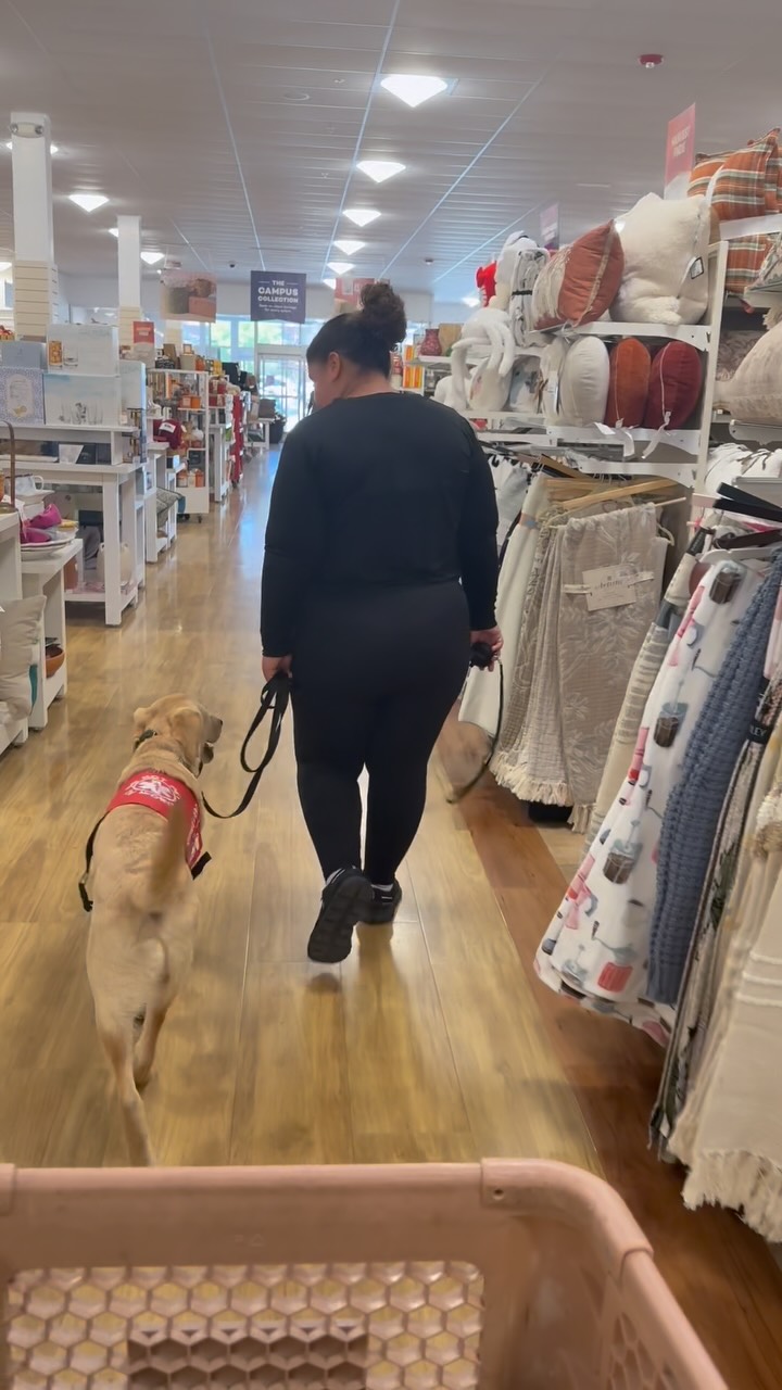 Atlas showing off his public access at Home Goods! We love how this boy is developing. He is super calm and confident. And has been doing so well with his task training as well.
(Atlas is not available- he already has an amazing owner that he is training to help)
#servicedogsofinstagram #mobilityservicedogintraining #purplepupsatl