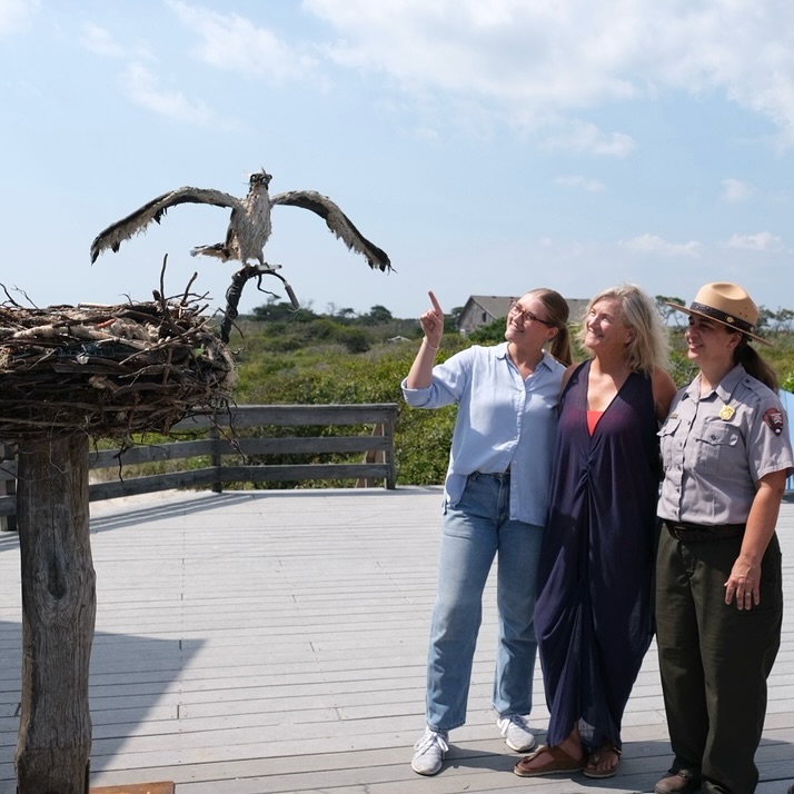 Many bird species use human trash as nest-building material. 🕊️ A team of scientists in Amsterdam who study layers of plastic “fossils” in nests was recently featured in @nytimes.
Learn more about this unfortunate phenomenon and spend a beautiful day on the beach by checking out our public installation, “What’s Inside the Osprey Nest?, at Watch Hill, Fire Island National Seashore! @fireislandnps
Head to our website, link in bio, to learn more about our nonprofit mission to fight the ocean plastic pollution crisis using art.
Sculpted by @cindypeaseroe.
#Osprey #EastCoast #FireIsland #EnvironmentalArt #ArtActivism #STEAM #MarineDebris #UpCycle #UpSculpt #CindyPeaseRoe #OceanPlastics #PlasticArt #PlasticPollution #Sculpture #PublicSculpture