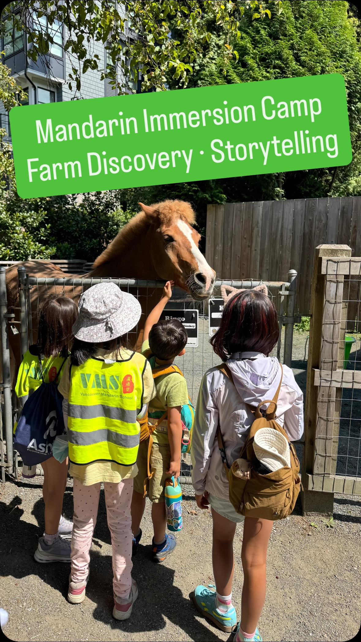 Farm to Storyboard: Mandarin Comes Alive 🐑🥚 From egg discoveries to wool adventures, our campers turned farm life into stories, podcasts, and plays — all in Mandarin. 💚
✨ As summer ends, the learning continues with our MINGLE after-school Mandarin programs at Jamieson & Norma Rose Point. Starting from the 2nd week in September, on-site pick up at your child’s school. PM us for details!
#MandarinImmersion #VancouverSummerCamp #LearnMandarin #afterschoolprogram