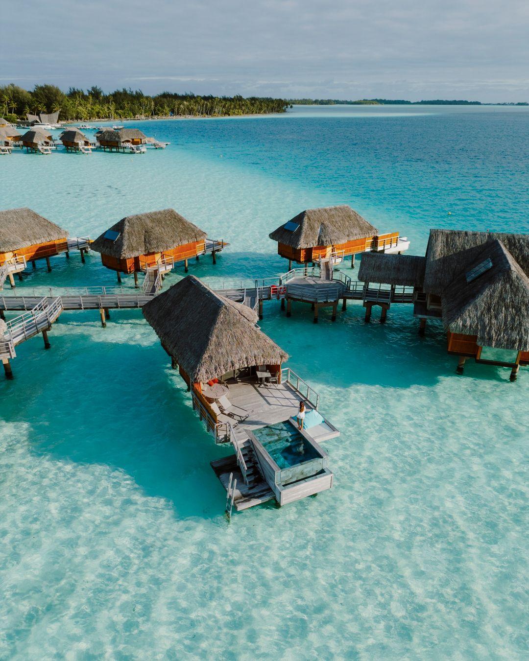 The best journeys aren’t rushed; they’re designed. That’s why we’re encouraging clients to start thinking about 2026 and beyond.
Antarctic cruises, African safaris, Japan’s cherry blossom season, overwater bungalows in Bora Bora. The most coveted experiences book early. Planning ahead means first pick of suites, private guides, and those VIP extras that make all the difference. Plus, it’s one less thing to think about later.
Let’s map out your next year of travel (and maybe the one after).
Reach out to info@alpenglowtravel.com to get started
.
.
.
.
.
#alpenglowtravel #LongTermTravel #LuxuryPlanning #BucketListTrips #LuxuryTravelAdvisor #HighEndTravel