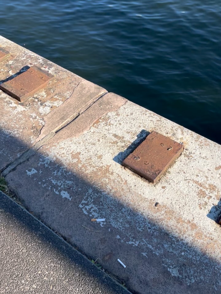 SAIL 2025: my first and definitely not my last — My husband compared me with a really happy little kid and I think it was quite accurate. I love how all cultures of the world came together in Amsterdam. Then, indeed, I’m a happy little kid. 🙏