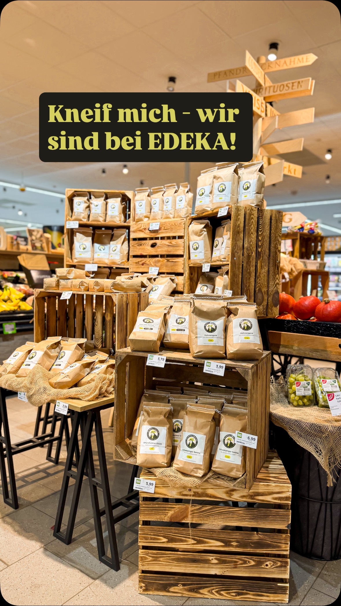 Kneif mich – wir sind jetzt wirklich im Supermarkt! 🤩
Unsere Produkte findet ihr ab sofort bei EDEKA Embach in Oftersheim 🛒✨ Alles Regional. Natürlich. Lecker.
Für uns ist das ein riesiger Meilenstein in so kurzer Zeit – wir sind überglücklich, unendlich dankbar und sicher: Unser Opa wäre sehr stolz auf uns gewesen. 💚
#edeka #regional #kurpfalzbauer #meilenstein #dankbar #familienbetrieb #kurpfalz #oftersheim #supportlocal #bio #getreidemühle #lebensmittelqualität