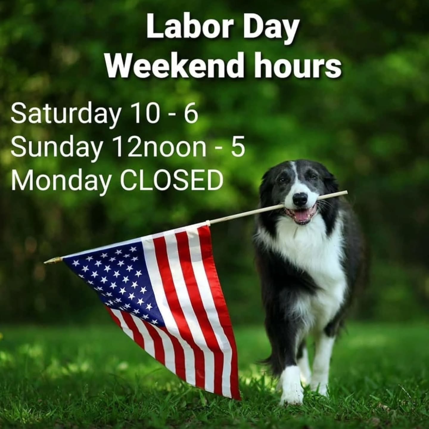 Friendly reminder! Toy Town will be CLOSED on Monday, Sep. 1st for Labor Day. We'll be back on Tuesday during our regular business hours.
#laborday #holidayweekend๐บ๐ธ #holidayhours #shopkb #shopsmall #shoplocal #toystore #keybiscaynecommunity