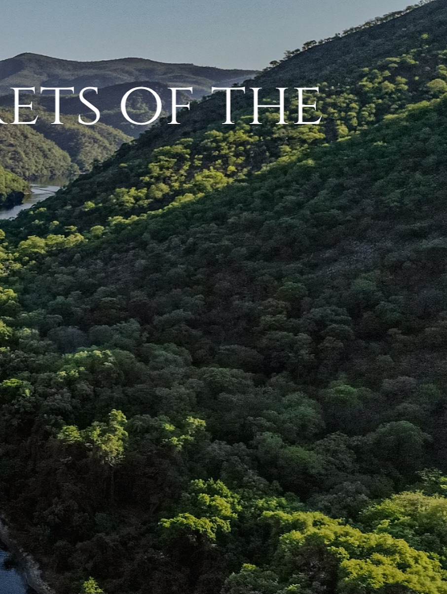 🌿 “Where river meets escarpment — a landscape carved by time, waiting to be discovered.”
#SafariBeyondTheOrdinary #ZambeziEscapes #VisitZambia