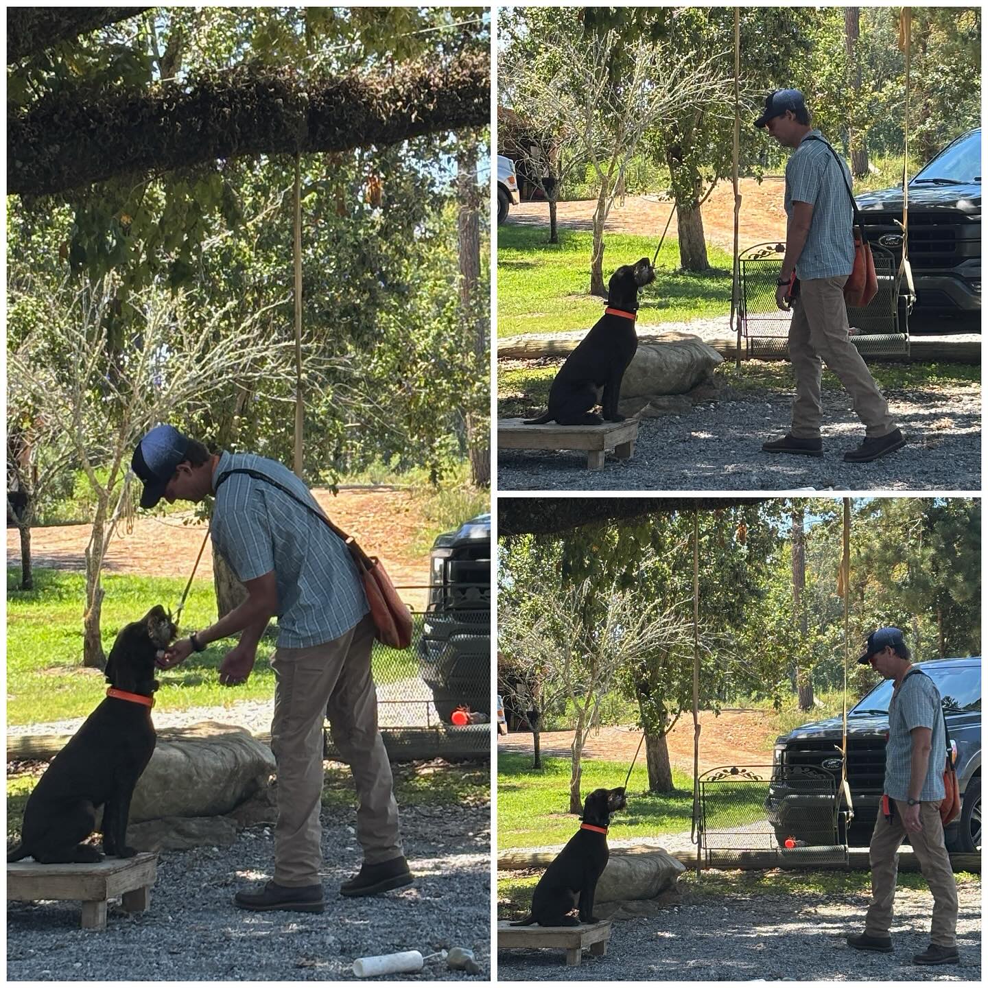 Did you know we offer hourly rate 1:1 training clinics? This is a force fetching clinic with a really nice dog Shug and her handler Trip. They’ve got a cool bond.
.
.
.
#schillingsgundogs #schillingsgundogstraining #sgdtraining