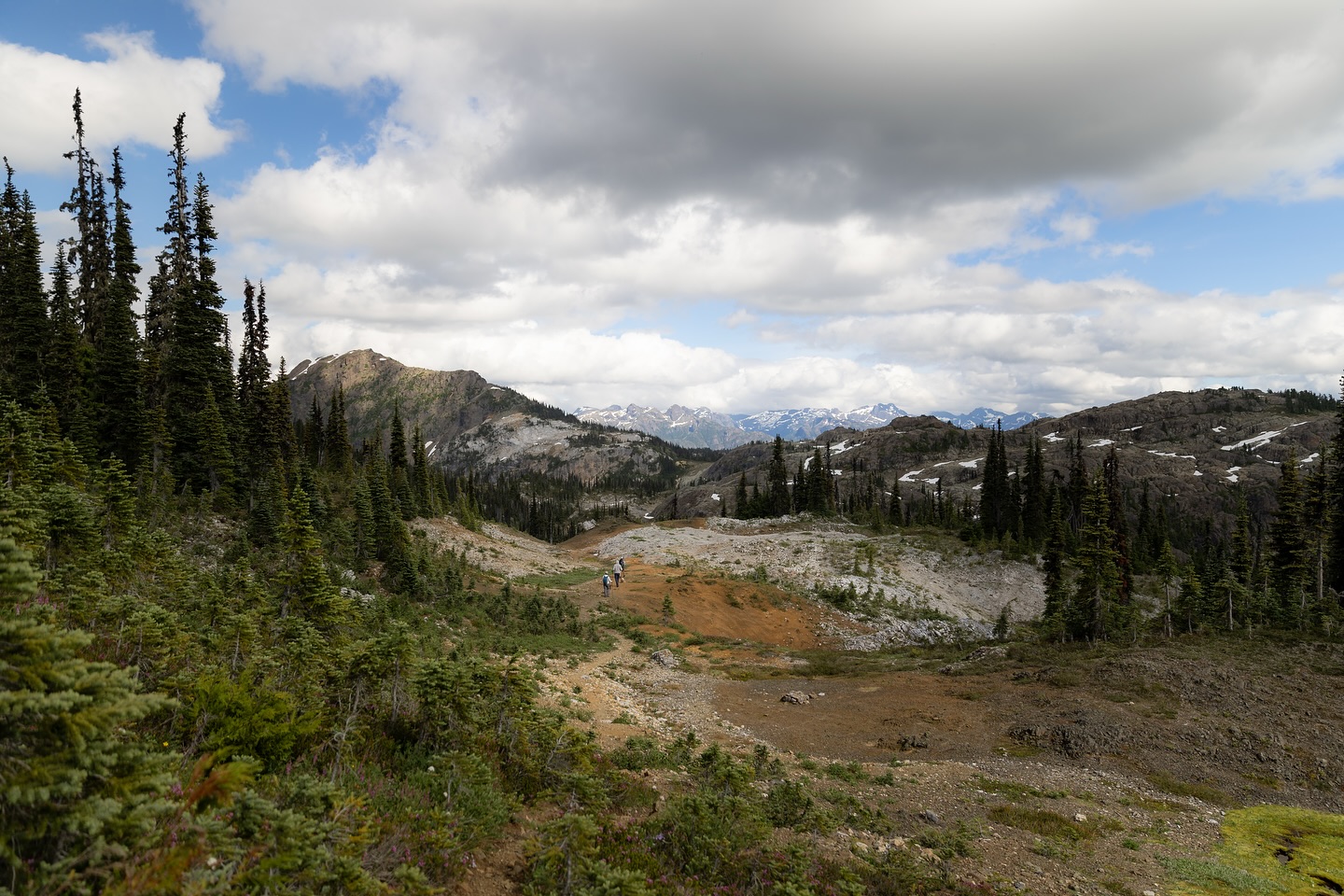 The trail always has a way of humbling you and grounding you at the same time. The mental and physical exhaustion is real, but being up here is an experience like no other.
#hiking #explorebc #explorecampbellriver #explorebctrails #discovercampbellriver #explorevancouverisland #tourismvancouverisland