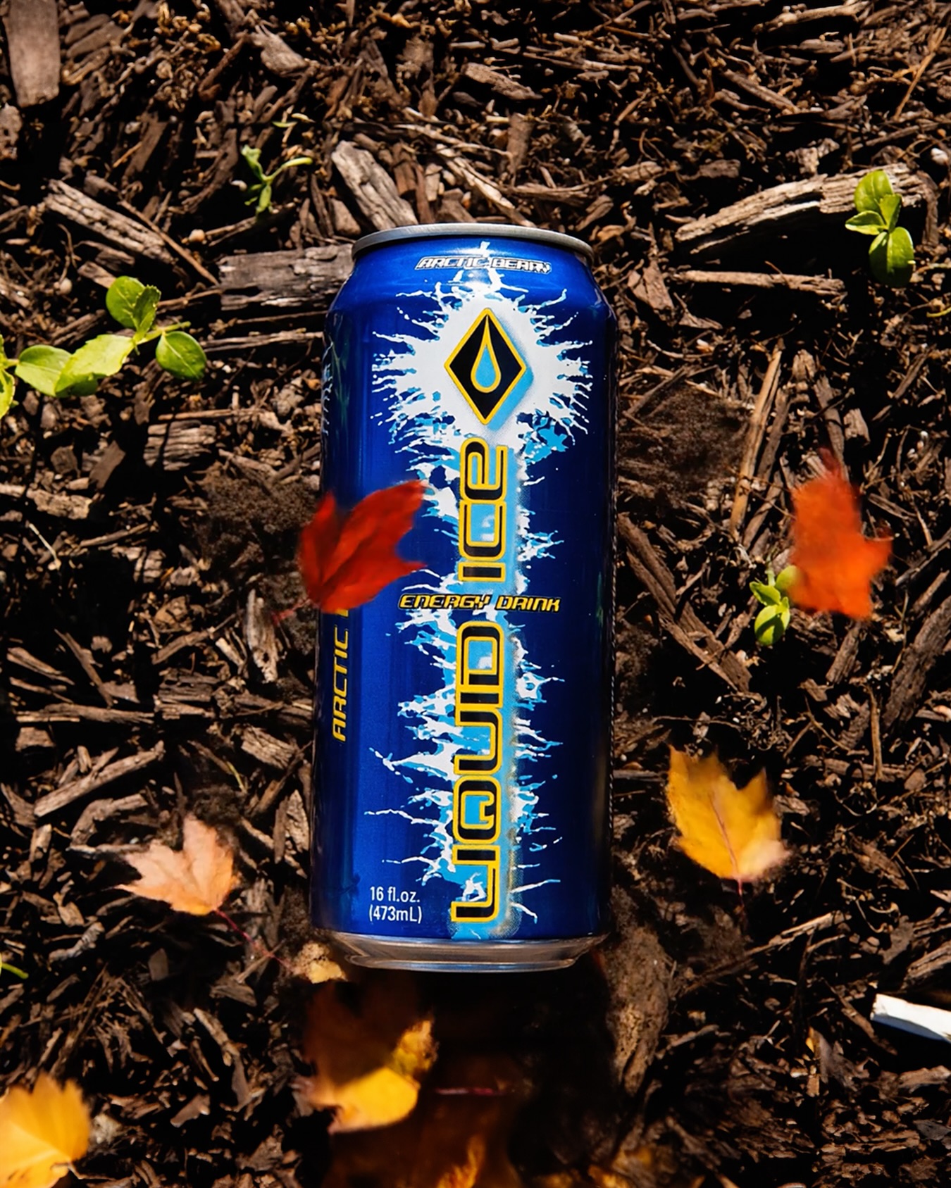 Fall leaves may drop, but our flavor never does. 🫐🍁
Experience it for yourself—shop now.
🔗 Link in bio.
#LiquidIceEnergy #SipTheIce #TooTasty