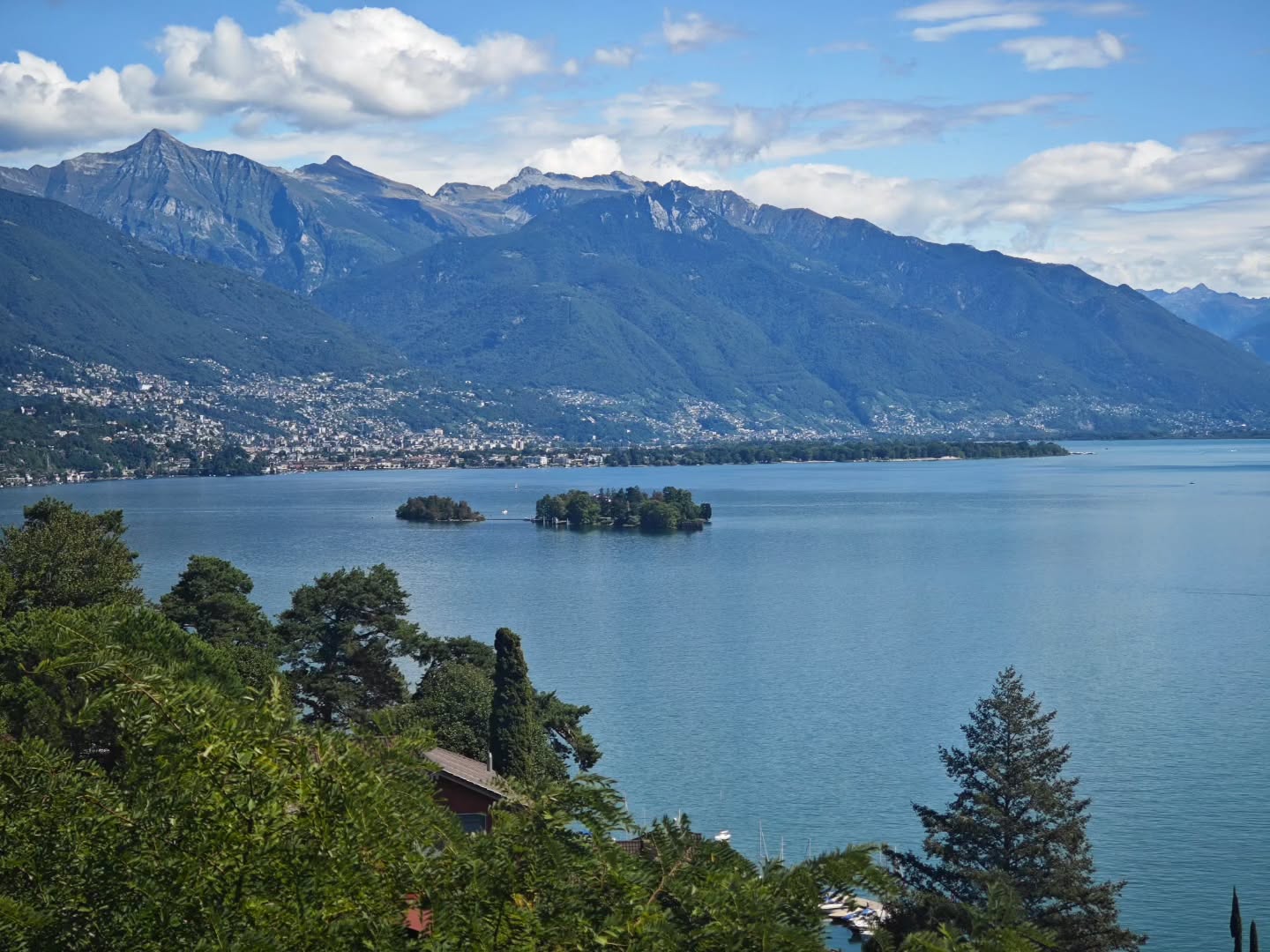 Brissago is waiting for you! The fall in Brissago is top!
Brissago ti aspetta! L’autunno qui è pura magia.
Brissago wartet auf dich! Der Herbst in Brissago ist einfach top.
#brissago #brissagoislands #visitbrissago
#visitticino #ticino #ticinoturismo #switzerland #switzerland🇨🇭 #travel #swiss #swissriviera #brissago4u #lake #boat
#fineartphotography
#swissalps #swissculture #loves_united_switzerland #switzerlandwonderland #got_greatshots #planet_earth_shots #suissebook #discoverthealps #discoverswitzerland
#mybrissago
@mybrissago
@lidobrissago
@tcbrissago
@bahiabrissagosnackbar
@cantina.giromit
#cantina.giromit
@aziendavitivinicolachiappini
#aziendavitivinicolachiappini
