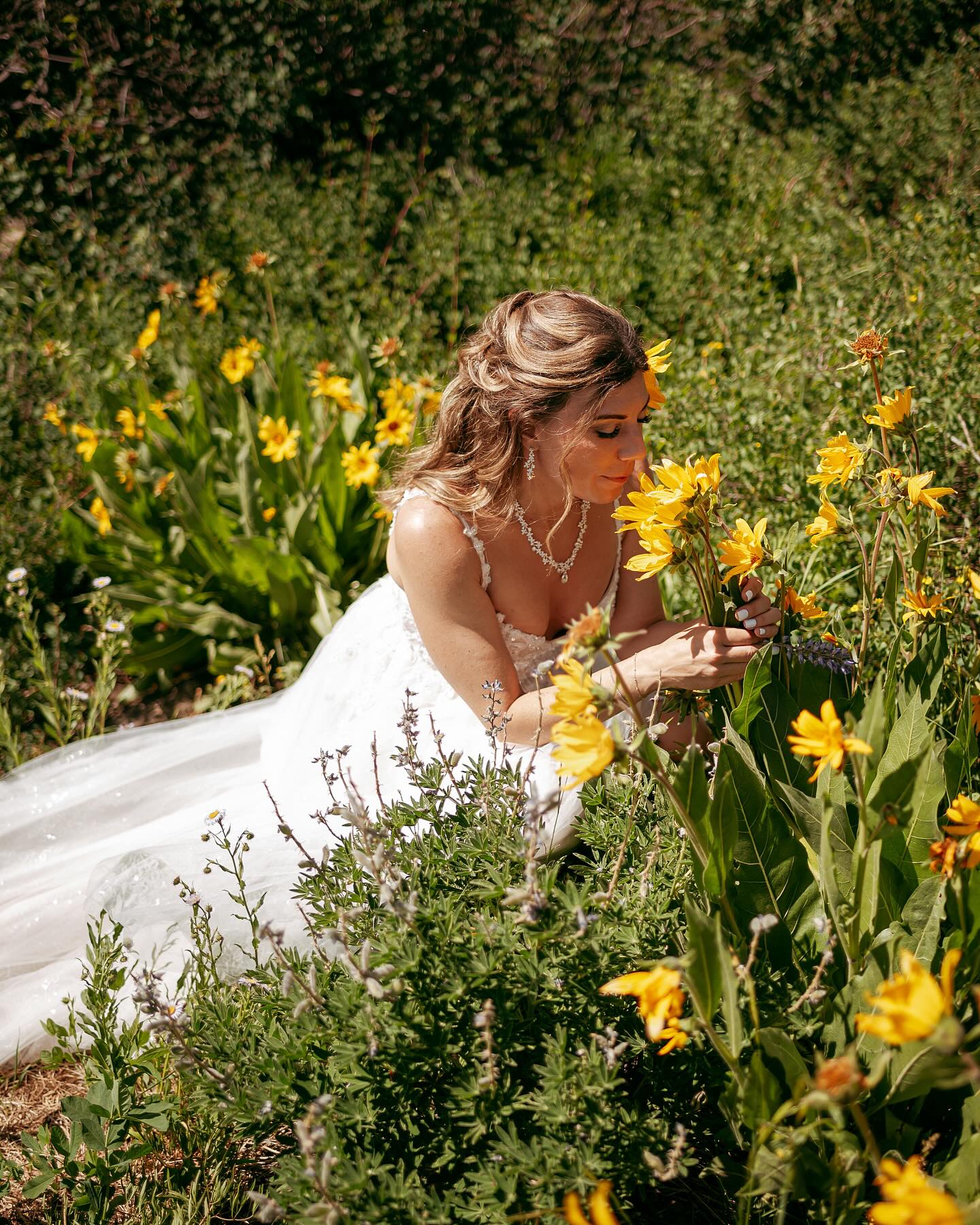 Wildflower bride 🌞🌻✨
“You are my flower
That’s blooming in the mountain for me✨🎶
Capturing Michelle surrounded by thousands of Colorado wildflowers was a special type of magic🦋
.
.
.
#coloradowedding #coloradoelopementphotographer #coloradoelopement #glenwoodsprings #coloradoportraitphotographer #sunlightmountainresort #rockymountainweddingphotographer #estesparkweddingphotographer #destinationweddingphotographer #sunlightmountainresort #rockymountainweddingphotographer #rockymountainelopement #coloradophotographer #coloradoengagementphotographer #rockymountainbride #boulderelopementphotographer #adventureweddingphotographer #boulderweddingphotographer #denverweddingphotographer #boulderphotographer #rockymountainnationalpark #vailweddingphotographer #glenwoodspringsphotographer #coloradoweddingphotographer