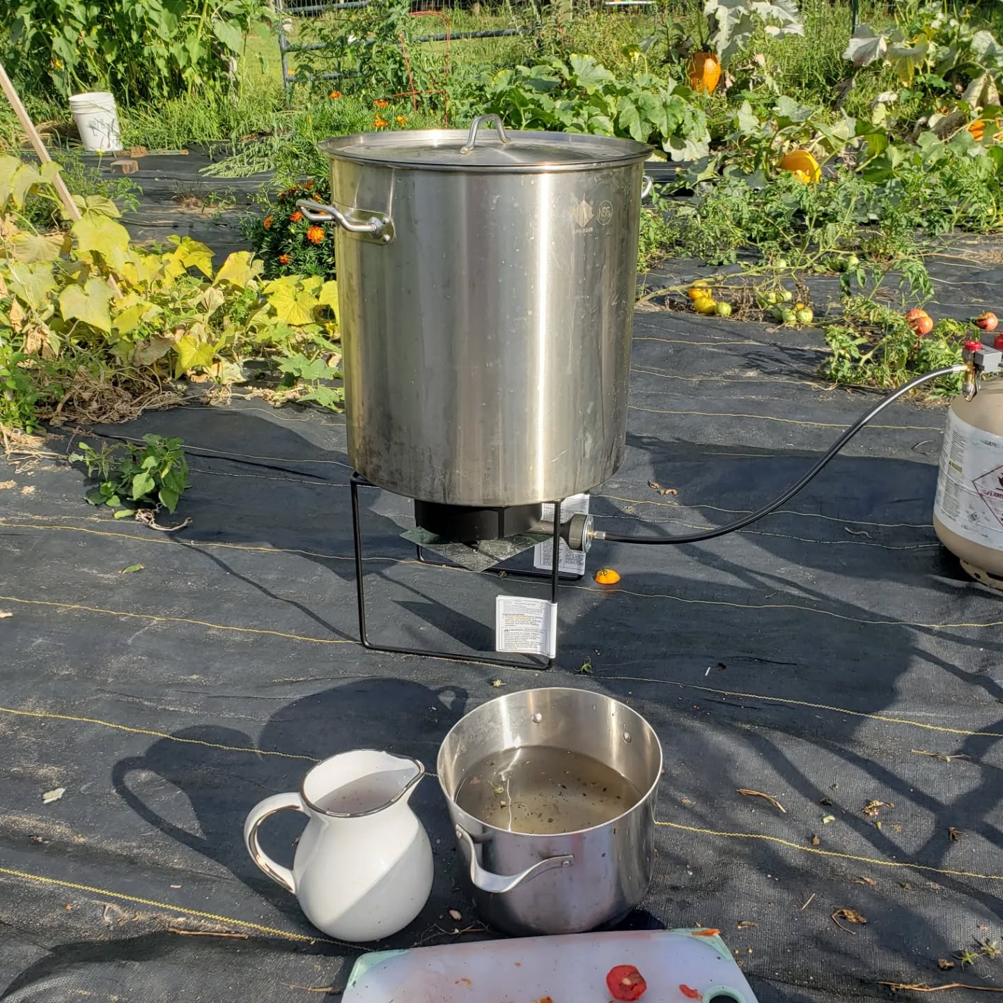 Making 12 gallons of sauce with the tomatoes that aren't quite good enough for the farm stand. So. Many. Tomatoes. ๐
๐
๐
#organicfarming #farmstand #organic #farmfresh #farm #saratogalake #aslocalasitgetstoga #farmfresh #saratogasprings #saratogaracetrack #stillwater #battlefieldfarmtrail