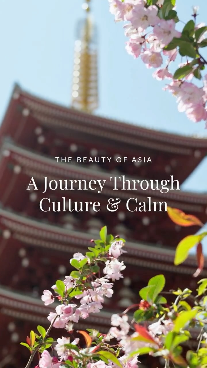 Sushi-making in Tokyo, temple-hopping in Chiang Mai, floating breakfasts in Bali, and sampling street food in Hanoi. This is just a glimpse into what makes the trips we design so special. We're here to create travel memories that stick with you.
Work with us to experience Asia’s beauty your way—tailored, thoughtful, and anything but ordinary.
.
.
.
.
#alpenglowtravel #LuxuryAsia #AsiaUnfiltered #ThailandToTokyo #TravelAdvisor #CuratedJourneys #NextLevelTravel #Bali #Japan #Thailand #Asia #LuxuryAsiaTravel #AsiaTravel