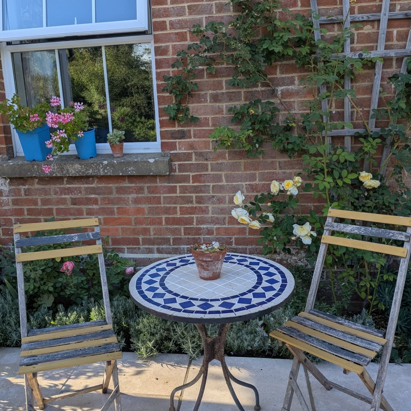 A few summer garden moments enjoyed over these glorious past few months 💛