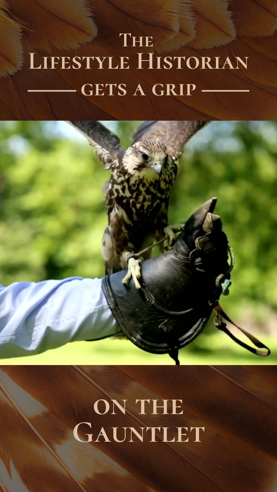 Recently, I had the pleasure of watching a local falconer present his feathered companions-hawks, owls, and other raptors. To see them close, wings spread and eyes sharp, was unforgettable. Thank you @hawk_manor_falconry_nc!
Naturally, I had to learn more about both falconry and the gauntlet.
Falconry, often called the “sport of kings,” stretches back thousands of years. Its roots trace to Mesopotamia and Mongolia before spreading to Persia, the Abbasid courts, and medieval Europe. For nobles, falcons and hawks were hunting aids as well as emblems of wealth, refinement, and discipline. A bird of prey perched on one’s hand spoke volumes about status.
The gauntlet was central to this bond. Crafted from thick leather, it shielded the falconer’s hand while doubling as a perch. Some were plain and practical; others richly decorated to match the prestige of the birds. Falconry was so esteemed that Emperor Frederick II wrote De Arte Venandi cum Avibus (“On the Art of Hunting with Birds”), a 13th-century masterpiece blending natural science with the practice of the hunt.
Knights also wore gauntlets as part of their armor, where they gained symbolic force. To “throw down the gauntlet” was no metaphor, it was a literal act of challenge. Dropping one’s glove demanded combat; lifting it accepted; ignoring it declined. The gesture was as public as it was personal and a test of courage and honor.
Centuries later, the phrase survives. When someone “throws down the gauntlet,” they echo the world of falconers and knights, where leather and steel carried the weight of trust, defiance, and legacy.
Today’s LH Discovery 💡
In Morocco, falconry remains a living royal tradition. Sultan Moulay Ismail (17th-18th c.) formally appointed a royal falconer in Meknes, and today the Kwassem tribe near El Jadida is uniquely authorized by royal decree to train falcons. Recognized by UNESCO as intangible cultural heritage, this centuries-old art continues to soar.
#ObjectHistory #HistoryUnveiled #FalconryLife #SportOfKings #MedievalHistory #KnightCulture #HistoricalObjects #ArmorAndArms #LivingHistory #CulturalHeritage #WordsWeUse #EtymologyInHistory #EveryObjectTellsAStory