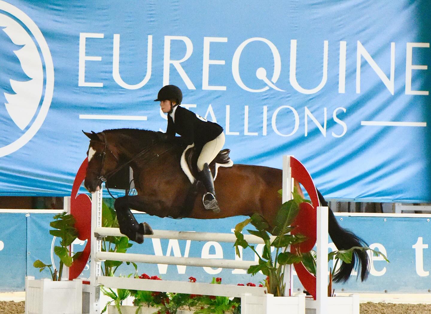 Del Mar Classic 1 was a huge success for all our horses and riders!! We were a very competitive group, who learned a lot and also had FUN!! So fortunate to enjoy the week with these wonderful horses 💙💜 at an amazing show @hits_delmar