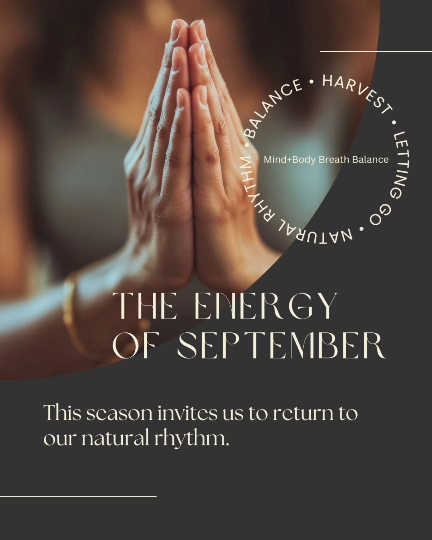 September reminds us that life is cyclical, not linear. The Earth exhales, the leaves let go, the fields fade, and we are invited to move with these natural rhythms.
But so often, we fight them. We cling, we resist, we forget that balance, harvest, and release are part of the same sacred dance.
9D Breathwork helps us return to what our bodies already know:
⚖️ Balance is possible
🌾 Gratitude can be our state
💨 Letting go makes space for what’s next
This month, I’m offering journeys aligned with September’s seasonal flow:
✨ Anchor to Presence
✨ Letting Go & Moving On
✨ The Sovereign Breath
✨ Abundance Journey
📌 Book your private session, invite your team, or gather your circle for a group experience. Together, let’s breathe back into alignment with the natural rhythm of this season.
#9DBreathwork #SeasonalRhythms #ConsciousBreathing #NervousSystemReset #mindbodyspirit #SomaticHealing #BreathworkJourney #AutumnEnergy #SeptemberFlow #BreathAndBalance