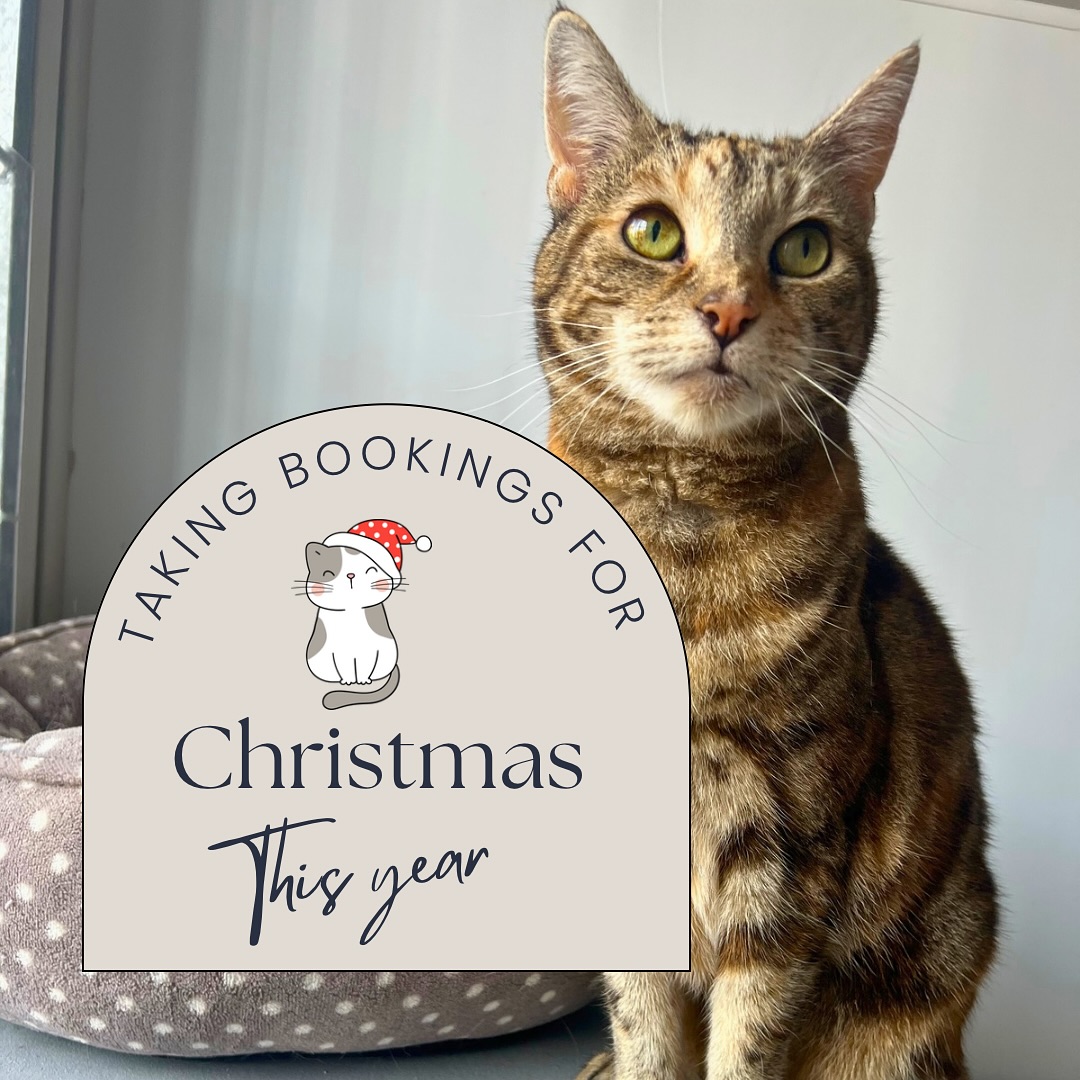 Give your cat the gift of a stress-free Christmas! π± π Only a few rooms left.
Enquire now and secure your dates. Present and special dinner for your πββ¬ included on Xmas day!
#holidays #christmasbookings #cattery #cats #surrey #surreylife #gatwickcattery