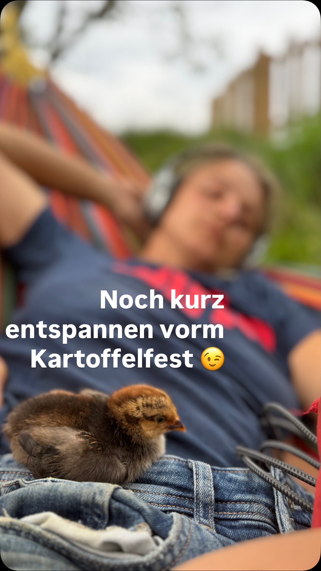 Besucht uns am Samstag den 06.09. zum Kartoffelfest.
Um 16:00 geht’s los, wir holen unsere Kartoffeln mit einem super alten Kartoffelroder aus der Erde und ihr könnt noch „Erdäpfelklauben“ wie zu Uromas Zeiten!!!
Um 17:00 gibt’s eine Hofführung, da geht’s um alles rund um den Hof. Unsere Anbauweise, Naturschutz und Landwirtschaft, Maßnahmen zum Klimawandel, die Erfolge aber auch die Rückschläge und wie wir uns möglichst zukunftsorientiert Aufstellen.
Um 18:00 starten wir dann unser Kartoffelfeuer, und in gemütlicher Runde könnt ihr euch dann bei uns entspannen und bei Snacks aus der Kartoffel und Wildkräuterküche verwöhnen lassen.
Für die Kids machen wir lustigen Kartoffeldruck
Also seid dabei Anmeldung auf www.permakulturhof-weiss.bio
Wir freuen uns auf euch 🤗
#permakultur #kartoffeln #wildkräuter #passau #landkreispassau #freddythecrunch #bioerlebnistage #regional #farmlife #bauernhof #vielfalt #bio #diy #erdäpfelklauben #gesund #kinder #gänsefuß #melde #unkraut
