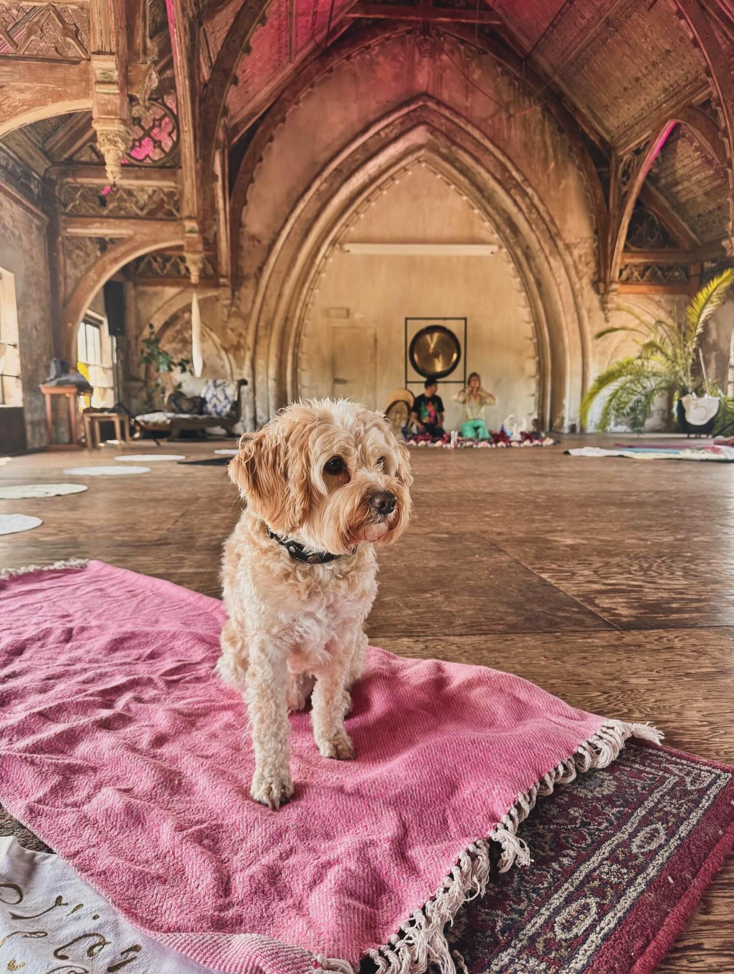 Stap 10 dag 10 en 11.
“Wij gingen door met het maken van een persoonlijke inventaris en wanneer wij fout waren, gaven wij dat onmiddellijk toe.”
Voor mij betekent dit: naar binnen gaan en eerlijk kijken. Kijken naar mijn persoonlijke inventaris. Mijn binnenwereld. Klopt die met mijn buitenwereld?
Toen ik nog dronk, nam ik geen tijd voor mezelf om te voelen. Mijn buiten wereld was anders dan mijn binnenwereld. Van buiten stoer en van binnen angstig, schaamte en verdriet.
Nu ik niet meer drink, heb ik meer rust en kan ik kijken naar mijn angst, schaamte en verdriet. Ik heb meer focus, ben me steeds meer bewust van wie ik echt ben. Zo binnen zo buiten .
Stap 11
“Wij zochten door gebed en meditatie bewust contact met God, zoals wij Hem opvatten, en baden alleen om kennis van Zijn wil met ons en om de kracht die uit te voeren.”
Voor mij gaat dit niet over een kerkelijke of straffende God, over een universele liefde, het universum, een bron van kracht.
Meditatie geeft mij rust en warmte.
Ik voel me verbonden. Een gevoel van samen💫💥 Dan voel ik mij echt een onderdeel van iets veel groters. ✨#liefdeisdeweg #stoppenmetalcohol #verslavingszorg #sobercuriousmovement #leiderschap #stichtingmetoo