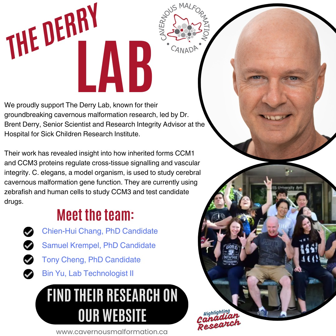 We proudly support cavernous malformation research at The Derry Lab, led by Dr. Brent Derry @sickkidstoronto!
Highlighting and supporting Canadian research towards treatment and a cure for cavernous malformation is a foundational part of our vision.
The Derry Lab uses the nematode worm C. elegans as a model organism to study the biological functions of cerebral cavernous malformation genes. Read more about their work at the link in our bio.
Their research continues to provide deep insight into cavernous malformation. Check out some of their published studies on our website under 'For Professionals' or via the link in our bio.
Special thanks to the entire Derry Lab team for their dedication and perseverance!
#cavernousmalformation #cavernoma #celegans #cavernousangioma #ccm1 #ccm2 #ccm3 #science #research #neuroscience #gratitude