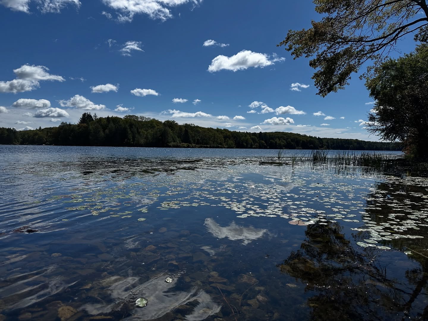 Promised Land State Park is all about blue skies, eagles, and paddling. #padaytrips #promisedlandstatepark #getoutside