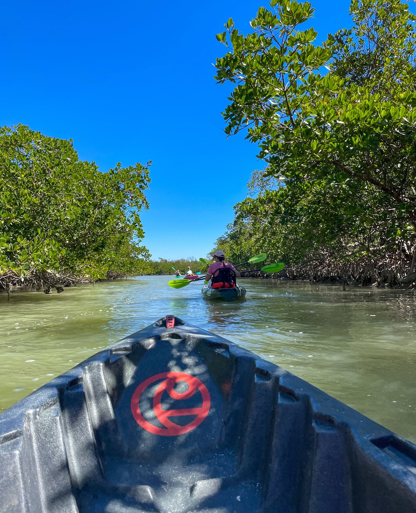 🌊 Paddle Your Way Through Paradise 🌊
From hidden mangrove tunnels at Bunche Beach to dolphin sightings at Lovers Key, Southwest Florida is filled with unforgettable kayak & paddleboard spots. 🚣♀️
✨ Here are just a few gems featured in our latest blog:
✅ Big Hickory Island – shelling paradise
✅ Gasparilla Island – turquoise waters + history
✅ Bowditch Point – dolphins + sunsets
✅ Manatee Park – paddle alongside gentle giants
📍 We’ve rounded up 25 of the BEST spots with launches, parking, hours, and first-time tips!
👉 Click the link in highlights under ARTICLES to discover your next paddle adventure!
Which spot would you paddle first?
#KayakingFlorida #PaddleFlorida #SWFLadventures #FortMyersBeach #NaplesFlorida #SanibelIsland #FamilyTravelFlorida