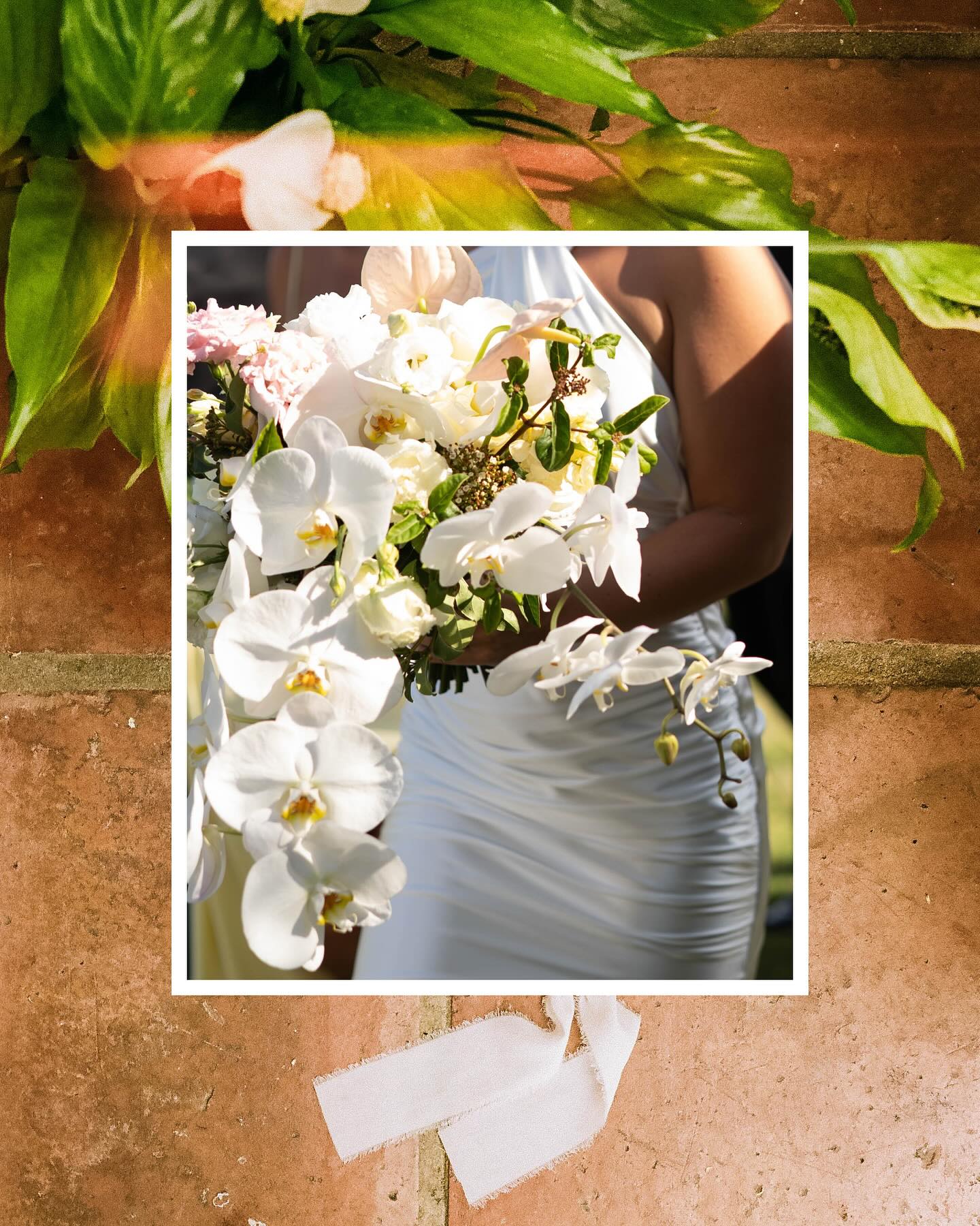 A love letter to wedding details💌
From the lovely @alexaannmarie_ ‘s wedding
Hair & makeup: @salonlocale @coco_salonlocale
Florals: @oceanicflowers
Photography: @loveallsunphoto
Second: @savanahpoolphotography
You have a beautiful way of being unnoticeably deep.
Of carrying little pieces of love that have been woven into their story.
You were crafted to be unnoticed—pretty for a picture on the outside, but carrying so many memories along with you.
A scent, a box, a shoe, a letter, an earring. These little things matter. Thank you for reminding me to stop and notice what you do.
You are unexplainably beautiful, because i’ll never know the amount of emotion you hold from a glance, but i see the way they smile at each other. I can only imagine the memories these little things invoke 30 years from now when they look at you.
-love, alison
Side note: I’m a sucker for memorabilia—call me a hoarder of details hahah. I even have my own wedding time capsule with my own details because i can’t bear to throw them away. Here’s your sign to hire a wedding photographer who notices the little things, because while they don’t last forever, they resemble pieces of your love story. They are important, and yes, I noticed :)
.
.
#lagunabeachweddingphotographer #detailshots #flatlayphotography #weddingphotography #35mmfilm #sanclementeweddingphotographer #lagunabeachphotographer #newportbeachphotographer
