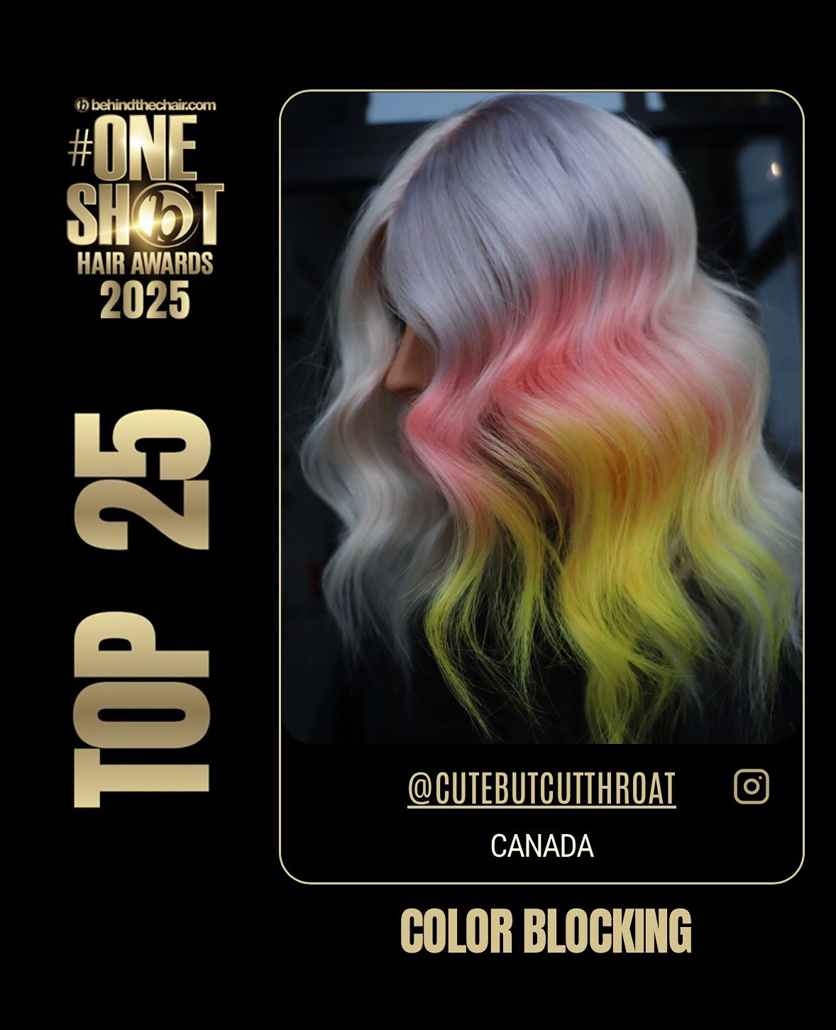Our @oneshothairawards salon nominations from this year!
@cutebutcutthroat
@zunnyhair
These were created using our personal favorite products at the salon, @dangerjonescreative and @designmehair 💕
#yychair #yychairstylist #yycsalon #foxandmaneyyc #yycblondespecialist #yycvivids