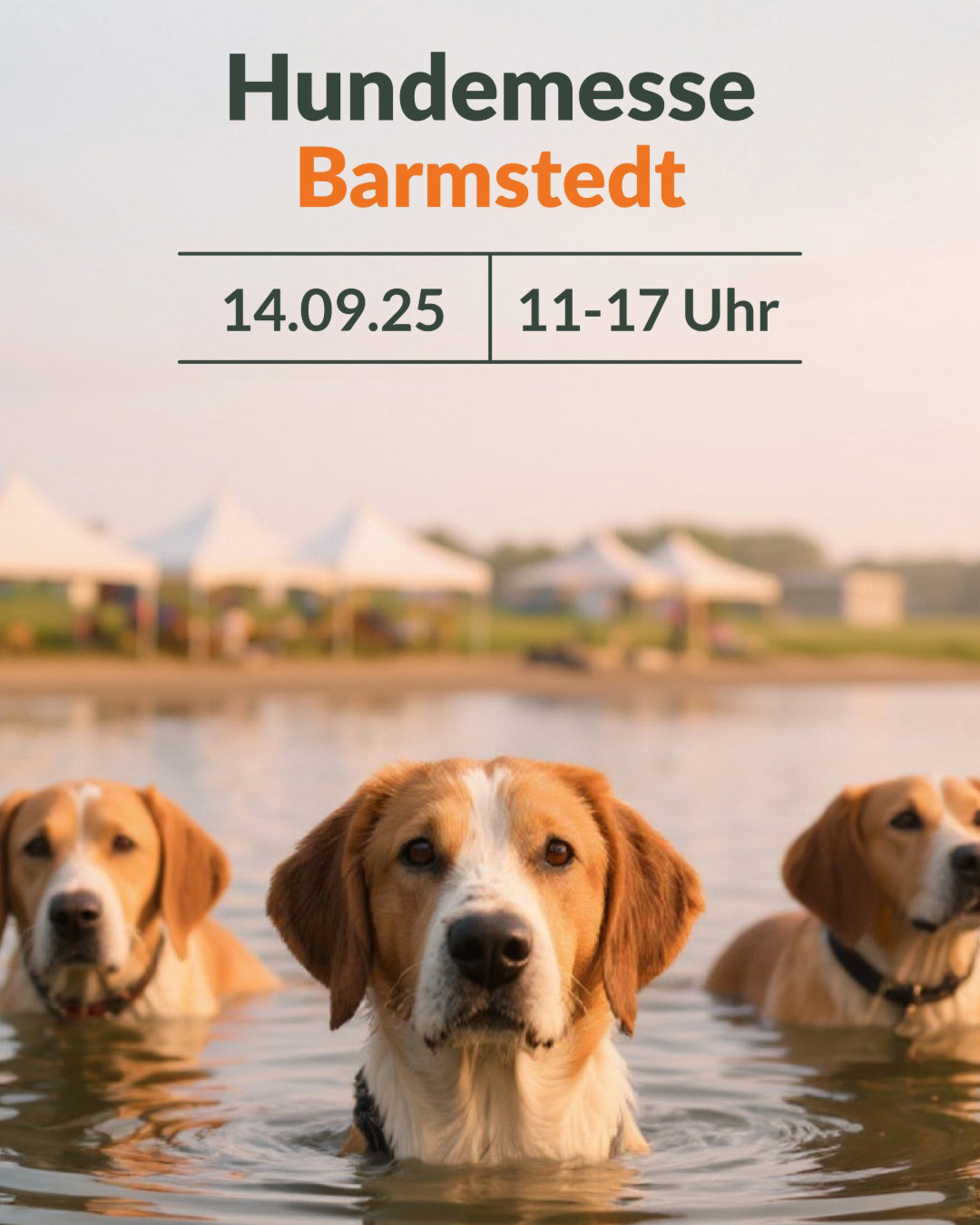 𝗛𝗮𝗺𝗯𝘂𝗿𝗴𝗲𝗿 𝗛𝘂𝗻𝗱𝗲𝗹𝗲𝘂𝘁𝗲, 𝗮𝘂𝗳𝗴𝗲𝗽𝗮𝘀𝘀𝘁! 🐶🐾
Besucht unseren Messestand nächsten Sonntag auf der Hundemesse in Barmstedt – in herrlich entspannter Atmosphäre direkt am Rantzauer See.
Kommt vorbei und entdeckt unsere handgefertigten Tauleinen und Halsbänder, testet euch durch alle Farben & Varianten – wir beraten euch gerne und fertigen wie immer das perfekt passende Halsband direkt live vor Ort!
📅 Samstag, 14.09.2025 | 11-17 Uhr
📍 am Rantzauer See in Barmstedt
Wir freuen uns auf euch!
#hundemessebarmstedt #hundemesse #barmstedt #hundeinbarmstedt #hundeinhamburg #hamburgerhunde #hundeliebe #unterwegsmithund #hundeevent #tauleine #hundeleine #tauleinenmanufaktur #allesaustau