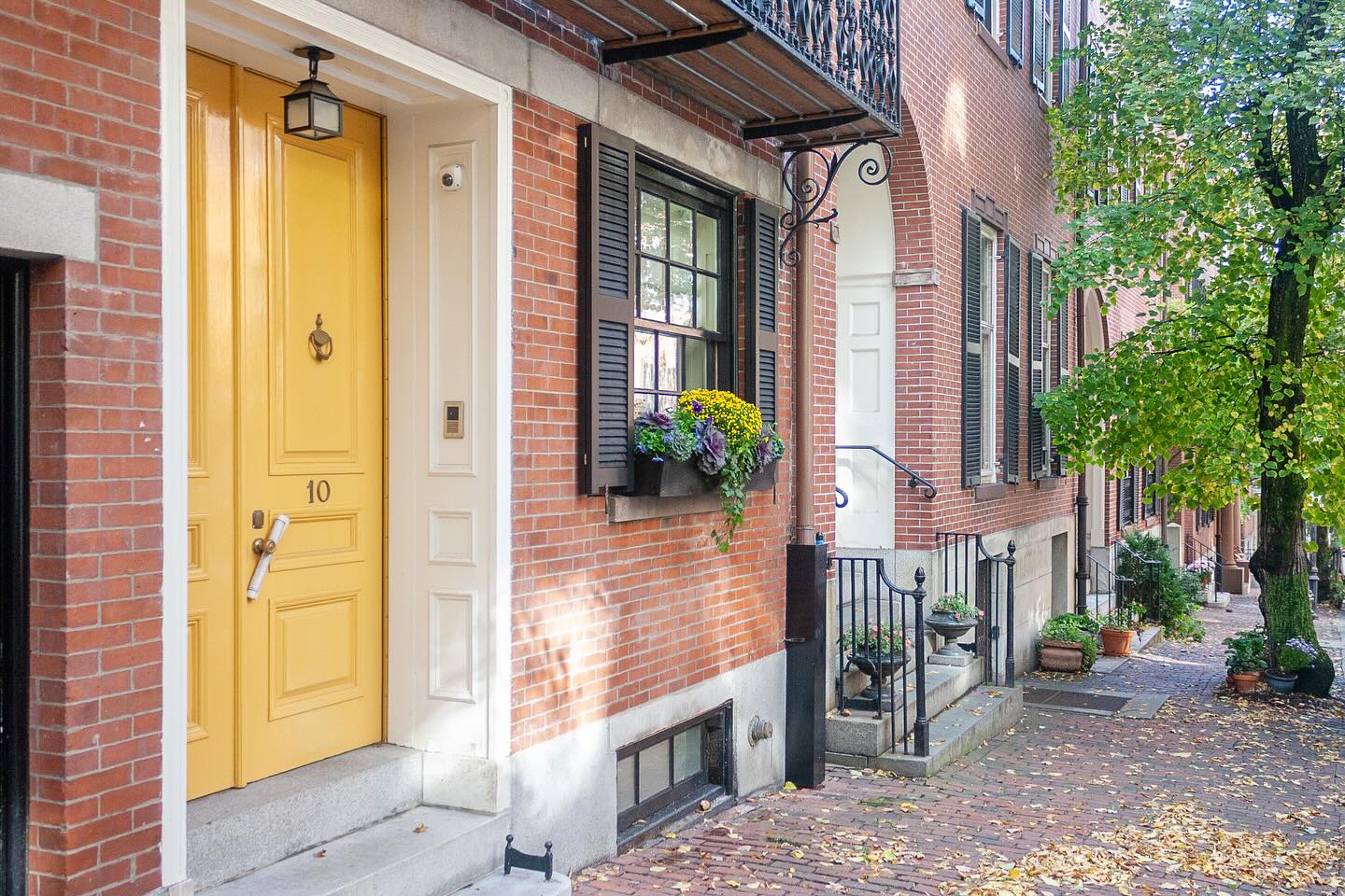 Fall plantings are coming!! For #WindowboxWednesday, we’re looking back at this fall planting combination inspired by the cheerful front door 💛 Mums, cabbages and pansies - a classic fall combo!
.
.
.
.
.
#citygarden #garden #gardendesign #growsomething #gardenlove #boston #backbay #containergarden #gardenstyle #instagarden #landscaping #outdoorliving #outdoordecor #outdoordesign #gardenlife #curbappeal #windowbox #home #bhg #bhghome #bostonhome #rslove #plantlove #igboston #theprettycities #mytinyatlas #itwasallyellow #fallvibes