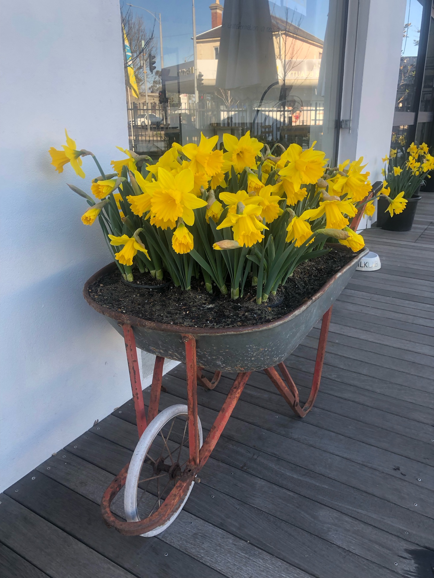 We will be open tomorrow (Sunday) for our favourite day of the year - The kyneton Daffodil Parade 🌼 10:30am - afternoon. See everyone tomorrow @kynetondaffodilandartsfestival ☕️