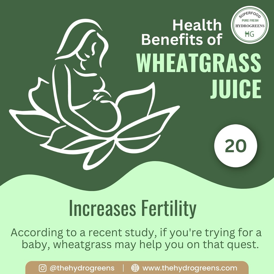 Plant-based superfood capsules-easy to consume, easy to store.
#wheatgrasscapsules #chlorophyllcapsules #naturalhealing #guthealthsupport #skinglownaturally #immunitybooster #hormonalbalance #vegansupplements #holisticliving #healthyhabits #detoxjuice
#WheatgrassJuice #DetoxNaturally #GreenCapsuleGlow #GutHealth #thehydrogreens #WheatgrassBenefits #skinfromwithin #PlantBasedWellness #VeganCapsules #naturalhealing
FOR MORE INFO. LINK IN BIO.