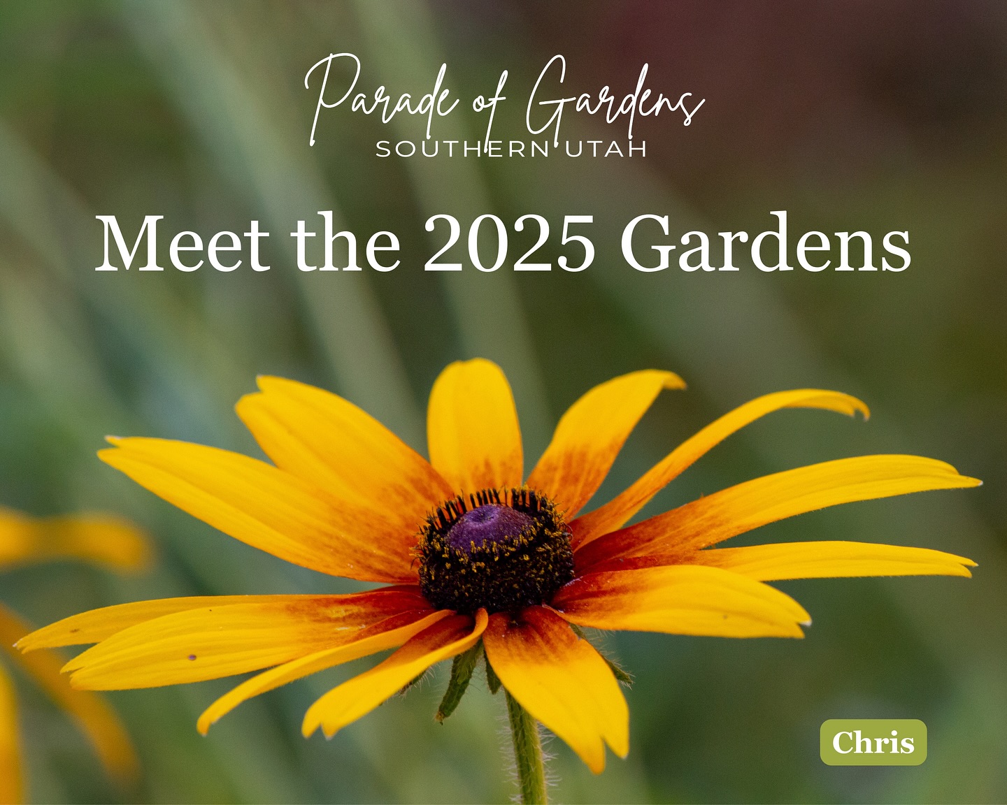The second annual Parade Of Gardens Southern Utah is NEXT WEEK!
🌵Grab your tickets, sign up to volunteer and check out this year’s garden stories! 🌺
PGSU is organized by @conservesouthwestutah in collaboration with @the_wcwcd
We are grateful for our sponsors:
@tetonwealthgroup
@stgeorgeutahrealty
@oasisgardens.stgeorge
@bloomgardens1
@starnurserylv
@utahwaterways
@southernutah_hba
@gaiasgardencafe
@cachevalleynativeplants