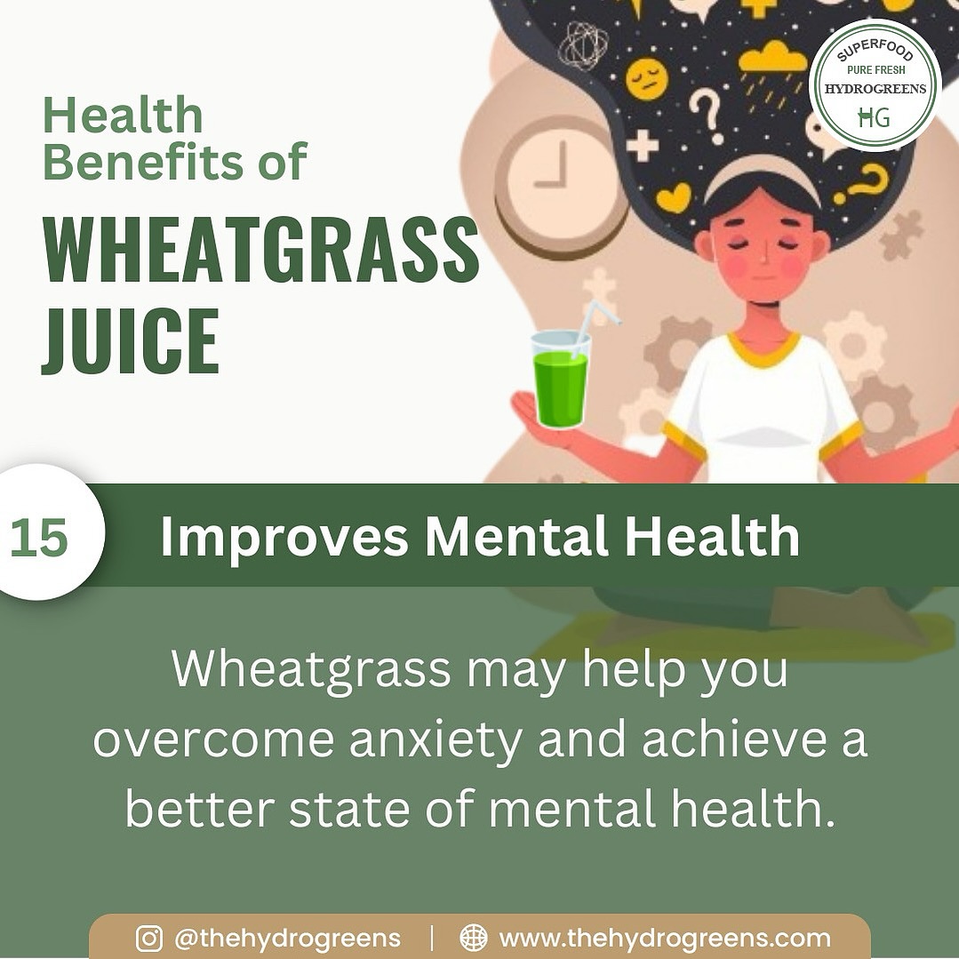 Plant-based superfood capsules-easy to consume, easy to store.
#wheatgrasscapsules #chlorophyllcapsules #naturalhealing #guthealthsupport #skinglownaturally #immunitybooster #hormonalbalance #vegansupplements #holisticliving #healthyhabits #detoxjuice
#WheatgrassJuice #DetoxNaturally #GreenCapsuleGlow #GutHealth #thehydrogreens #WheatgrassBenefits #skinfromwithin #PlantBasedWellness #VeganCapsules #naturalhealing
FOR MORE INFO. LINK IN BIO.