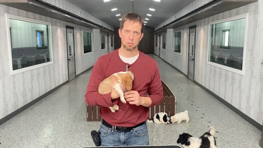 Does your puppy think the yard is a snack bar? Many new puppy owners deal with the frustrating (and a little gross) habit of their pup eating poop. The good news is—you’re not alone, and there are simple steps you can take to correct it.
In this short video, we’ll walk you through why puppies sometimes do this and what you can do to redirect the behavior. With the right training and consistency, your puppy can grow out of this stage and develop healthy habits.
Watch the video now to learn practical tips you can start using today.
You can check out more of our puppy tips and tricks on our youtube channel at https://www.youtube.com/@PrestigePetsIN/featured