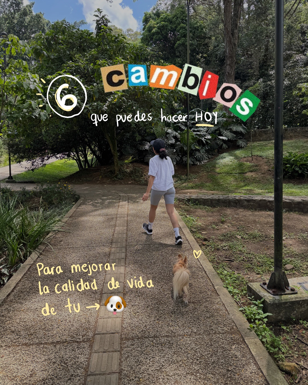 Hay muchas cosas que podemos hacer para apoyar la salud de nuestros perritos desde adentro, aquí te comparto varias que están 100% en nuestras manos, y que pueden marcar una gran diferencia en su bienestar integral. 🐕🌞
Pequeños cambios pueden sumar muchísimo. ⚡️
👩🏽🏫🦟🌿🪻 Y si quieres que te mande toda la info sobre mi clase de Desparasitación Natural, comenta la palabra CLASE aquí abajo. Te voy a enseñar métodos naturales para prevenir parásitos internos y externos, y cómo aplicarlos de forma responsable, según cada caso, de acuerdo al contexto de tu perrunito y a tus posibilidades. Te espero por allá. ❤️