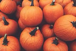 We now have pumpkins and fall flowers at our farm market, The Corner Farm!!! The Corner Farm is located at the corner of Circle Drive and Rt. 526. Come get them Thursday through Sunday. #fall #pumpkin #flowers #produce