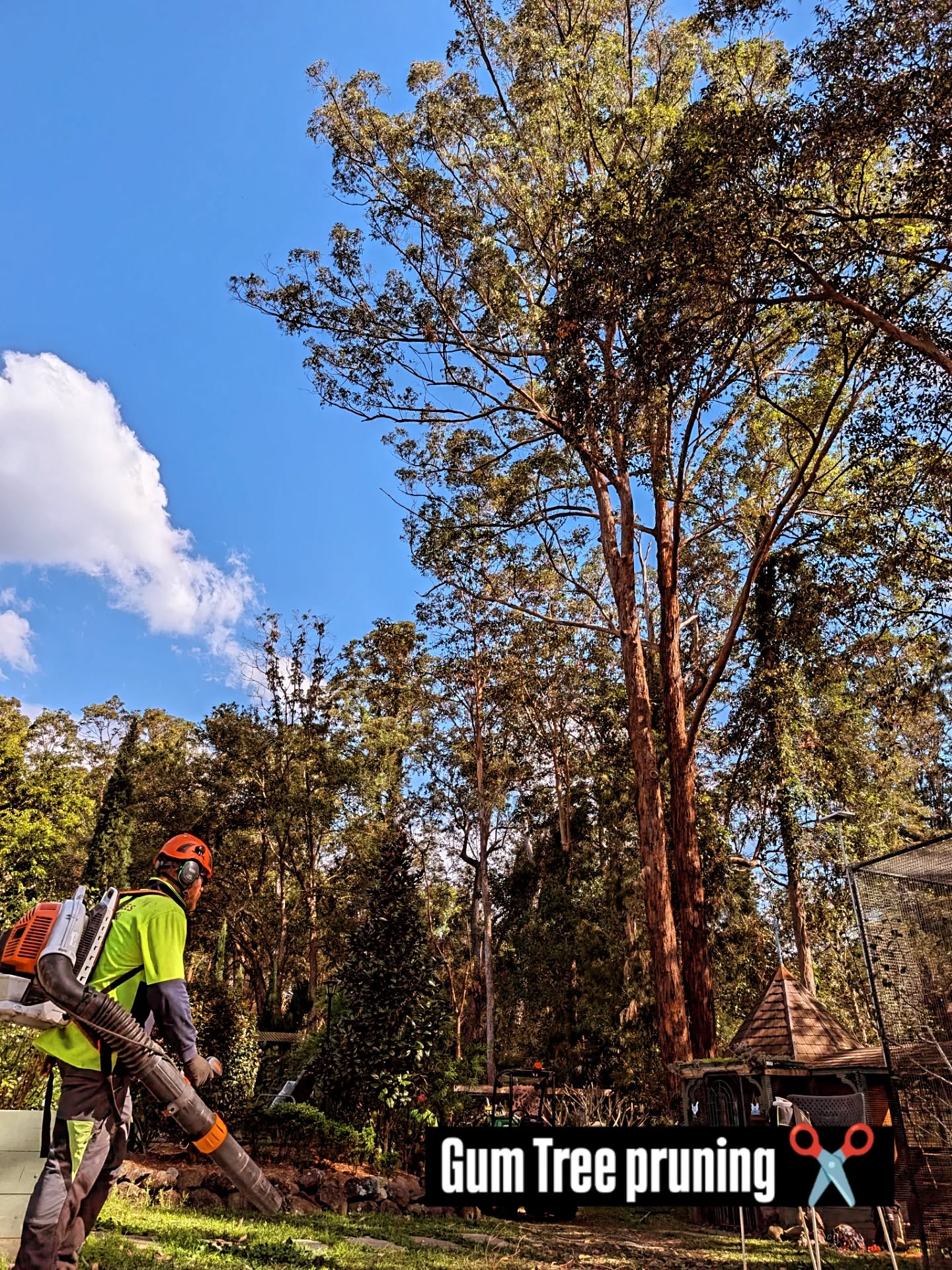 Here is a less social media/advertising friendly job because it's not as sexy as a tree removal video π
We spent three days reducing lateral branches, pruning deadwood and doing some well overdue maintenance on this backyard in Bonogin. βοΈπ
If you live on acreage, it is very important to have an arborist inspect your trees every 2-3 years or after a major weather event. π€
