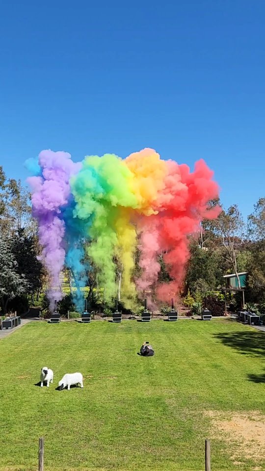 💥 Turn your event into a rainbow celebration with our Powder Colour Effects! 🌈✨
From festivals and fundraisers to weddings and milestone parties, we bring the colour, the energy, and the magic. 🎉
🎶 One stop shop | Custom packages | Big impact | Adelaide Weddings & Events
#AdelaideEvents #AdelaideWeddings #AdelaideLife #AdelaideParties #AdelaideHills #SAEvents #EventStyling #EventHireAdelaide #EventSpecialEffects #OneStopShopEvents #CelebrateInColour #PartyVibes #FestivalVibes #PowderColour #ColourRun #ColourEffects #EventInspo #WeddingInspo #EventMagic #EventGoals #EventDecor #EventPlanner #EventPackages #EventProduction #SpecialEffectsHire #AdelaideCelebrations #PartyGoals #BigImpactEvents #DreamBigCelebrateBigger #AdelaideBusiness