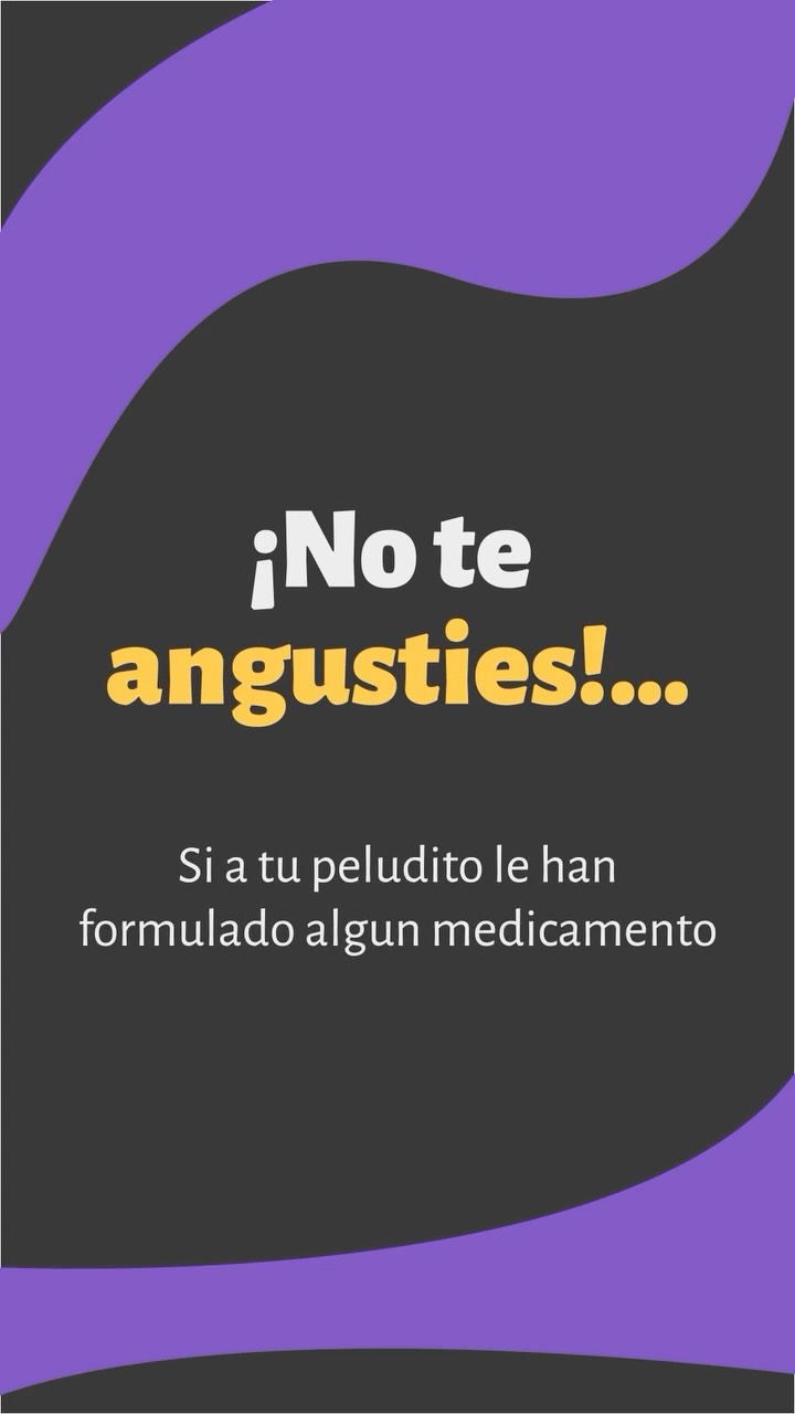 Felices de celebrar a los peluditos que llevan varios años con nosotros 🥳✨